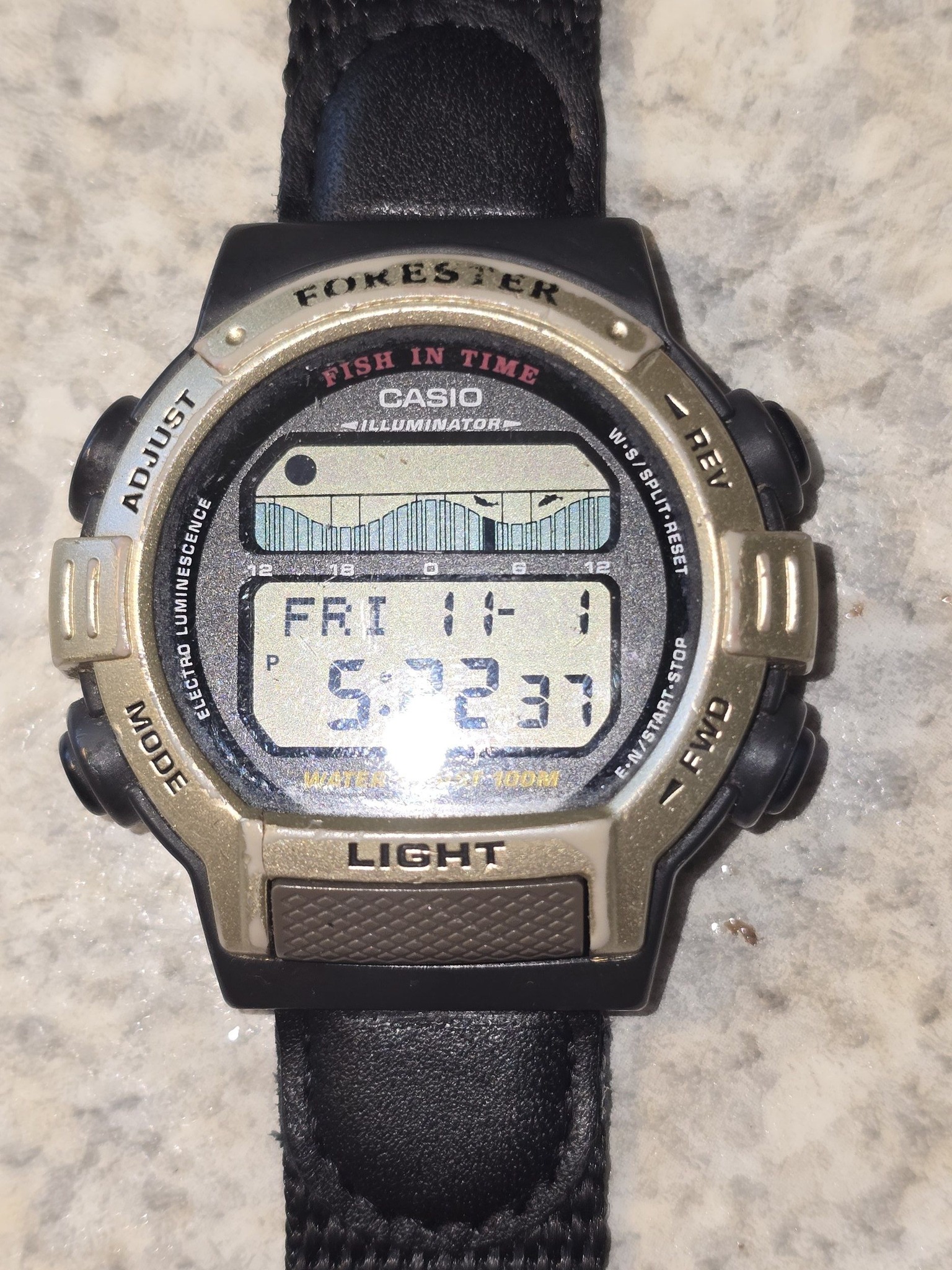 Casio fish watch is accurate. Zero fish on watch and ain