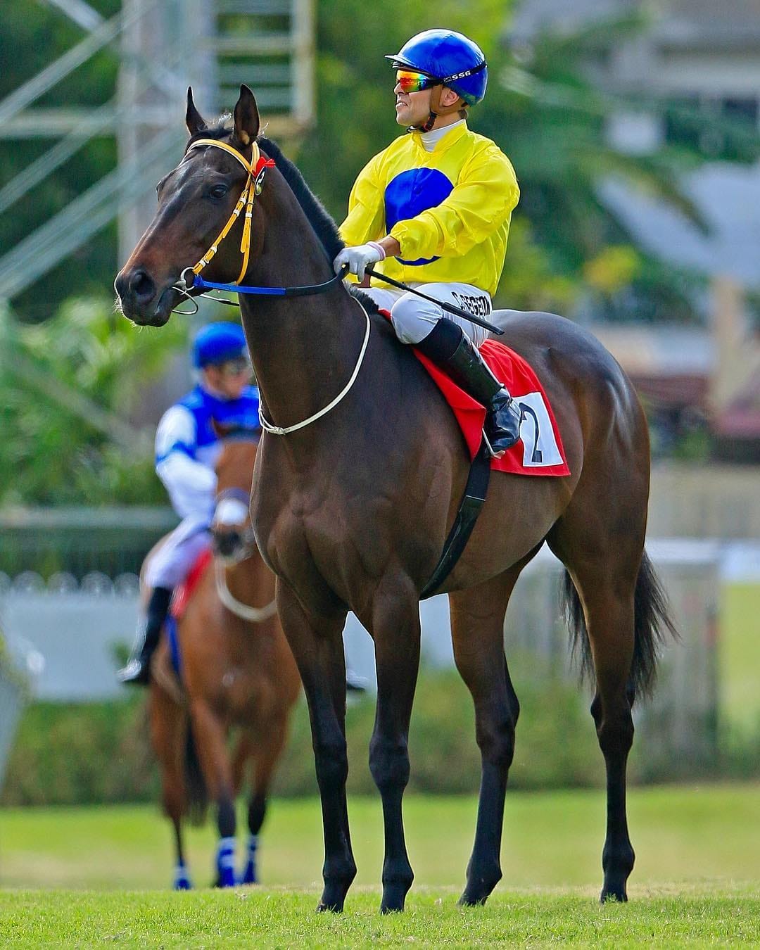 Mauritius Horse Racing - #Cédric_Segeon et Oomph, quel duo🔥🔥 📷: #Yahia ...
