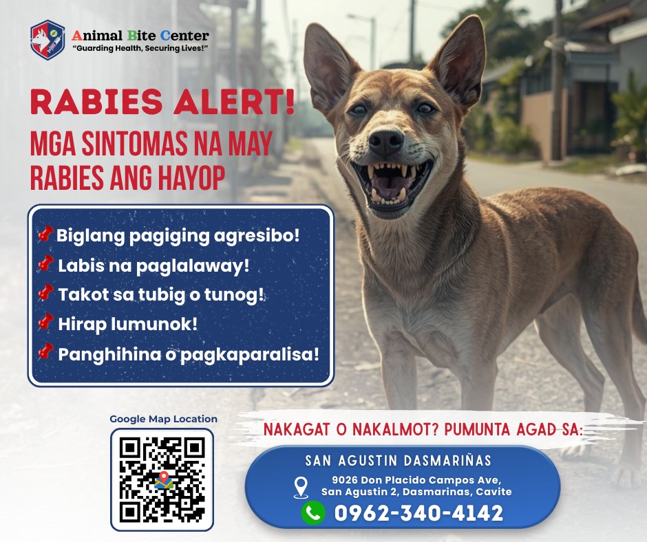 Babala! 🚨... - Animal Bite Center ABC - Dasmariñas Cavite | Facebook