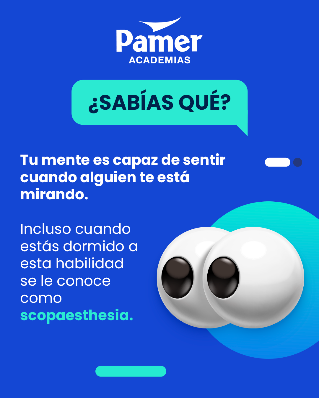 PAMER ACADEMIAS - ¿Conoces la scopaesthesia?👀 Es un... | Facebook