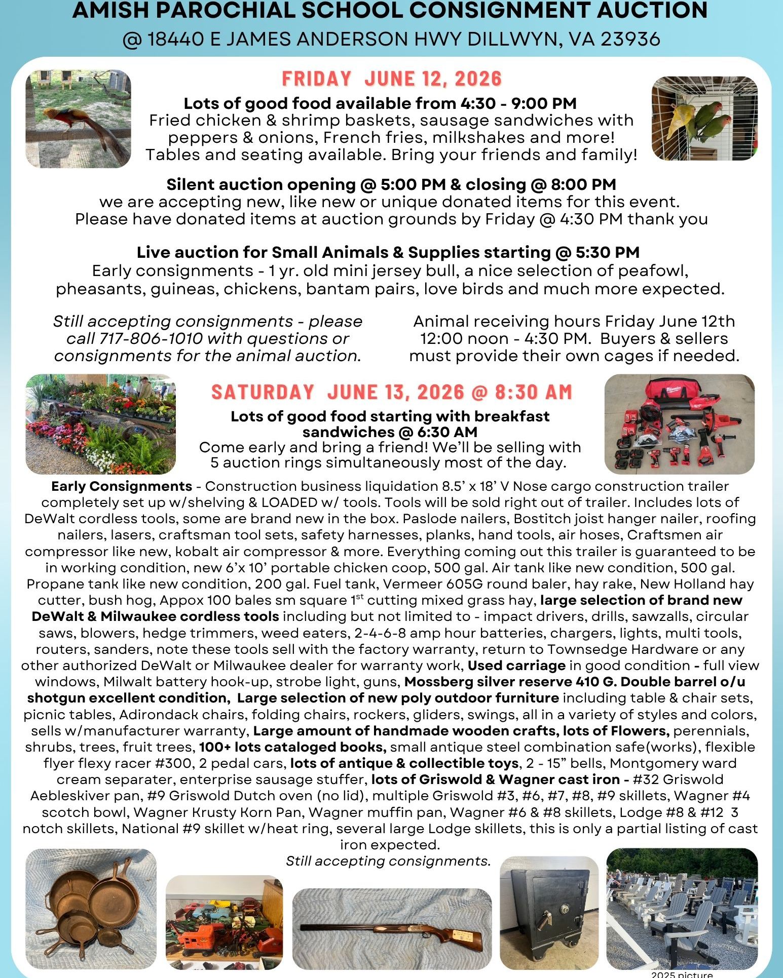 Amish school consignment auction in Virginia with tools, animals