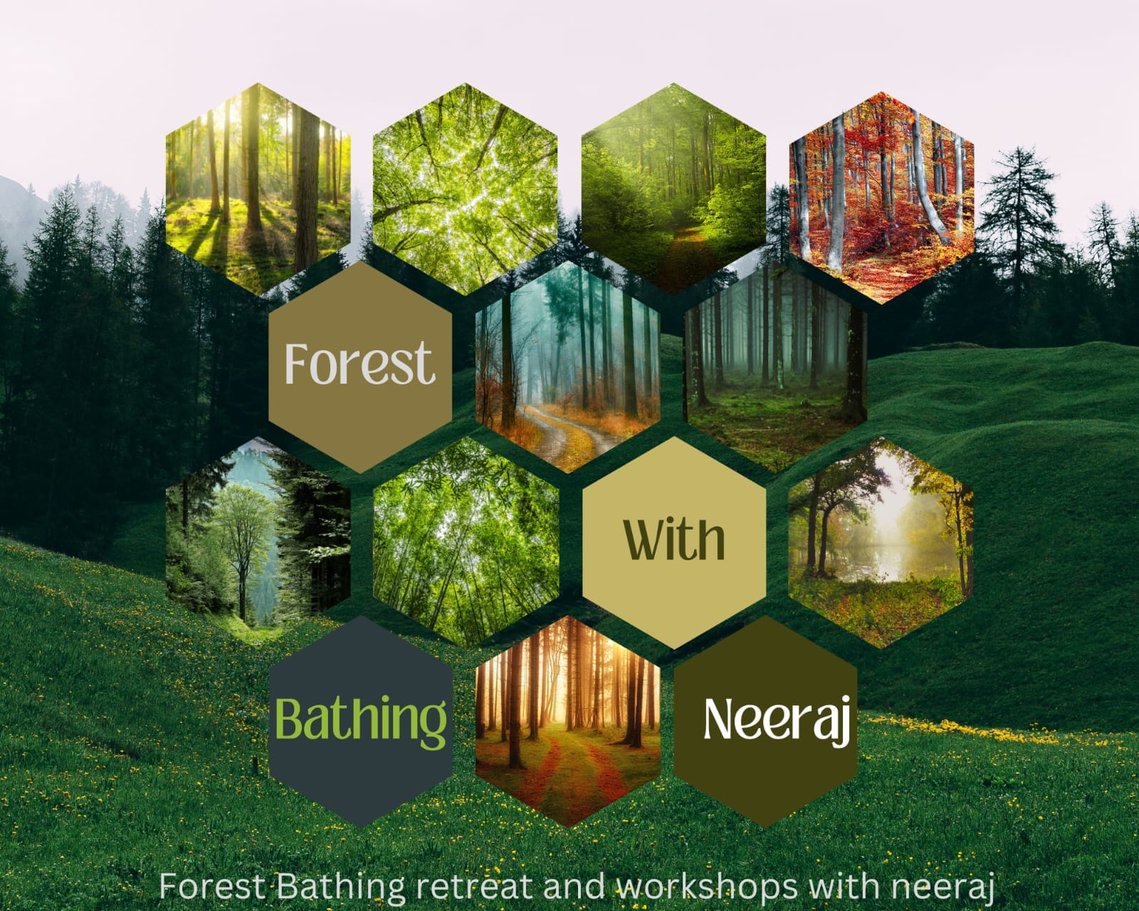 Forest Bathing and Healing with Andrea | Facebook