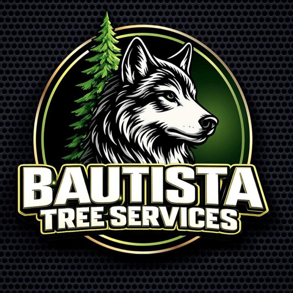 Tree removal 🌳, stump grinding, fresh topsoil, and new sod — all ...