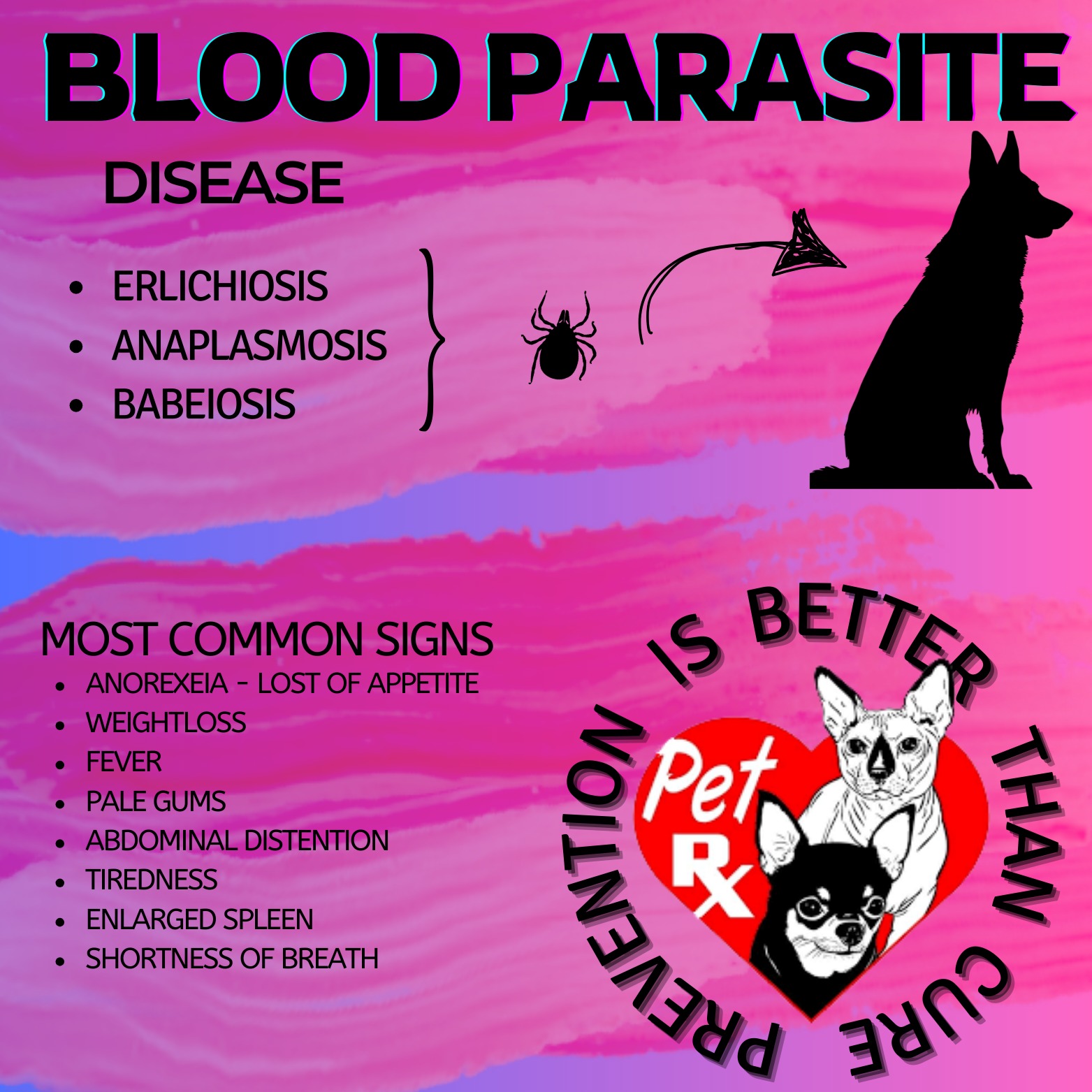 What you should know about Blood... - Pet RX Animal Clinic