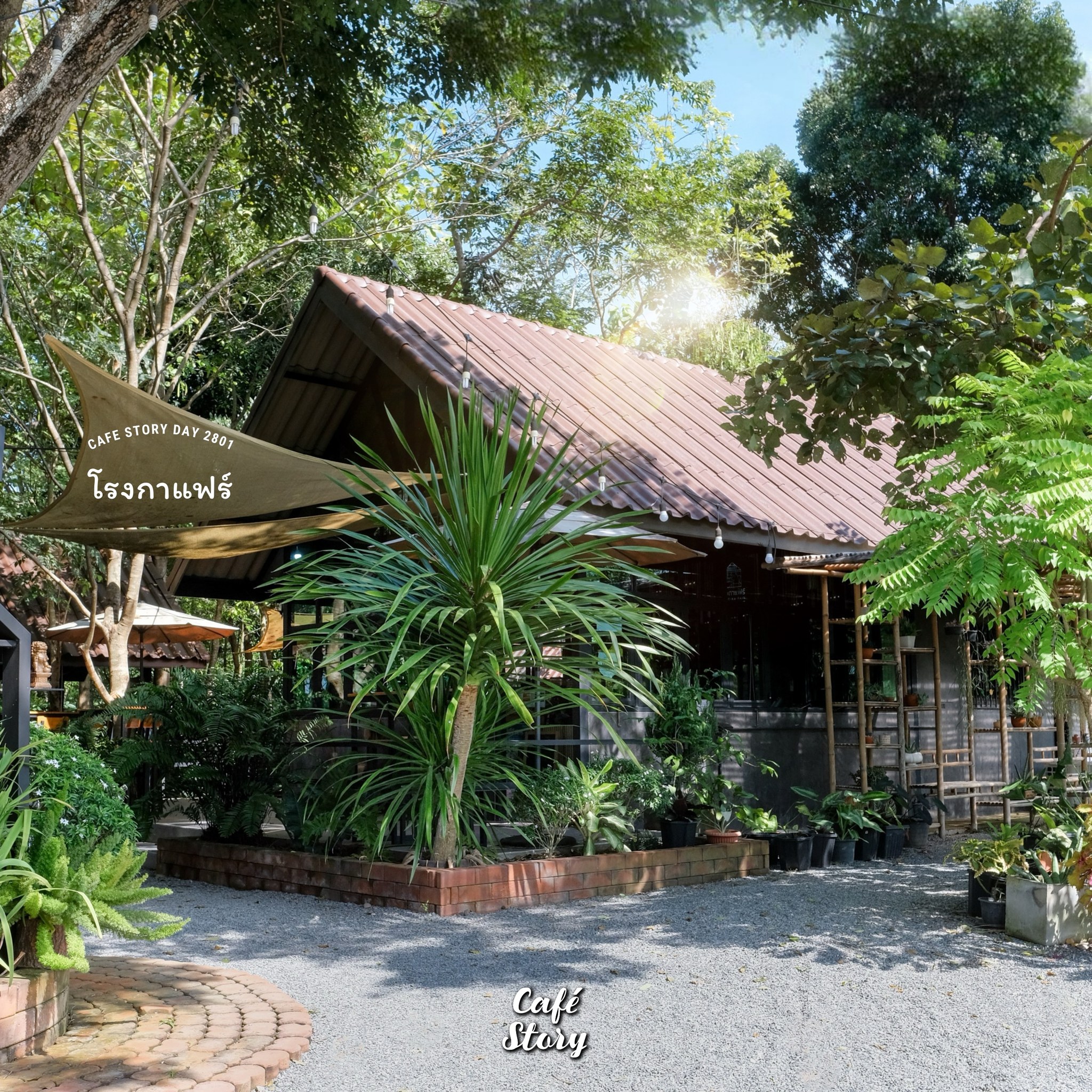 📍 โรงกาแฟร์ Rong-Ka-Fair 🏡🌳🍰☕️... - Cafe Story x ติดเล่า | Facebook