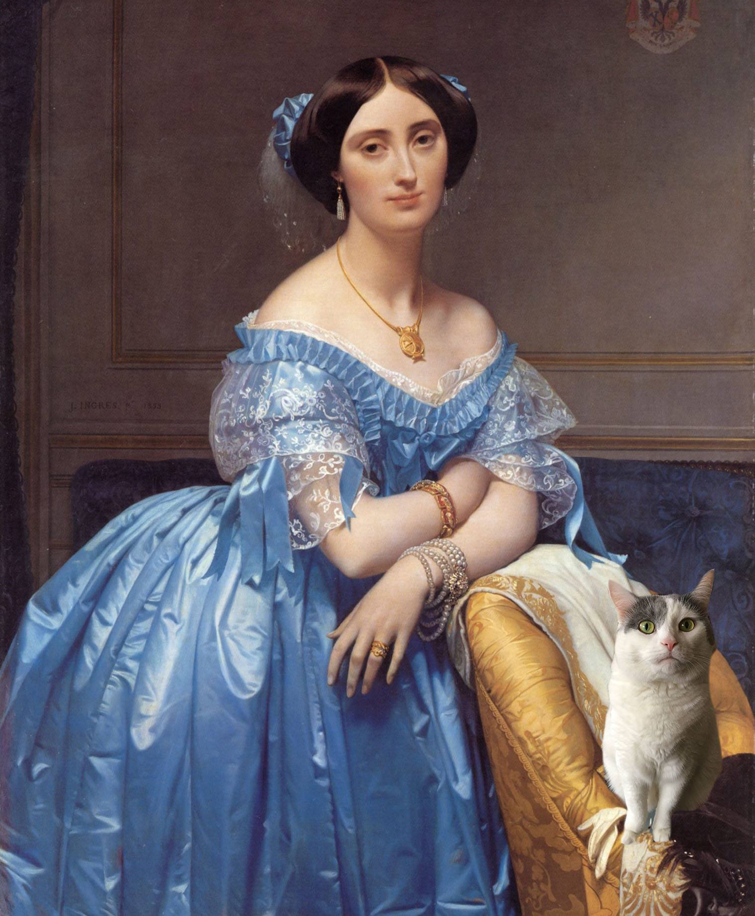 ingres blue dress Ingres' Portrait of Princesse de Broglie at The Met Black Embroidered Maxi Dress 6.23.26-Influencer-Selects Size:19 Please note that its