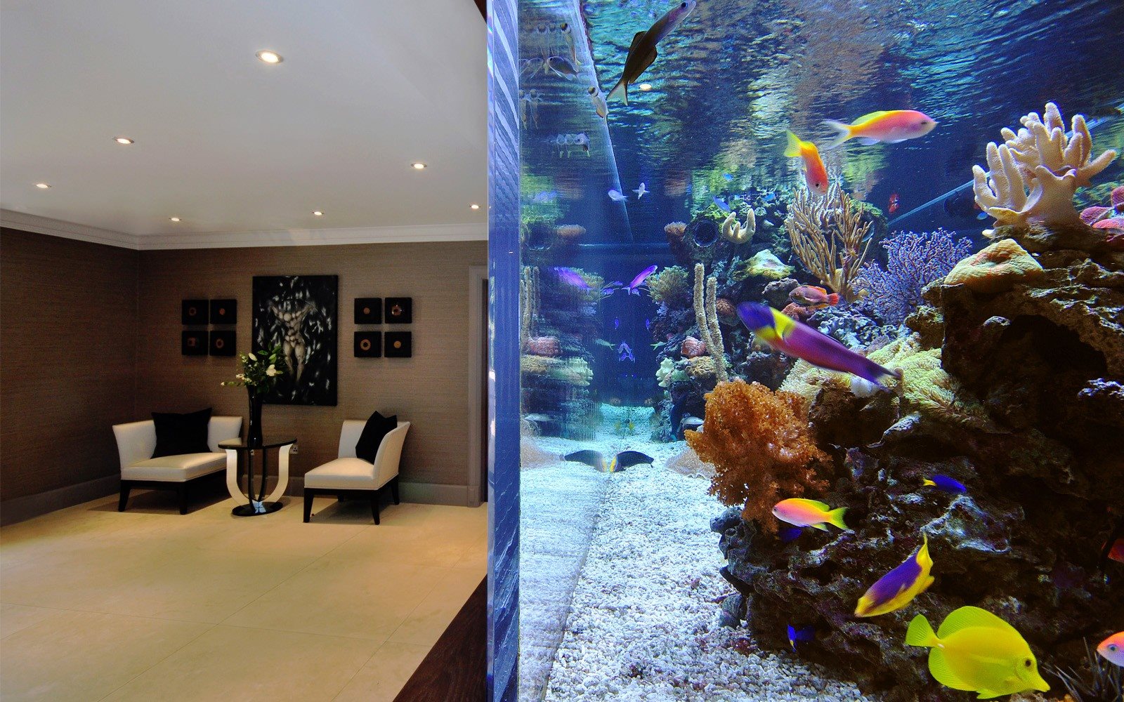 Curated visual reference: Gallery Detail: Saltwater Aquarium Philippines We Design Build Install Set Up And