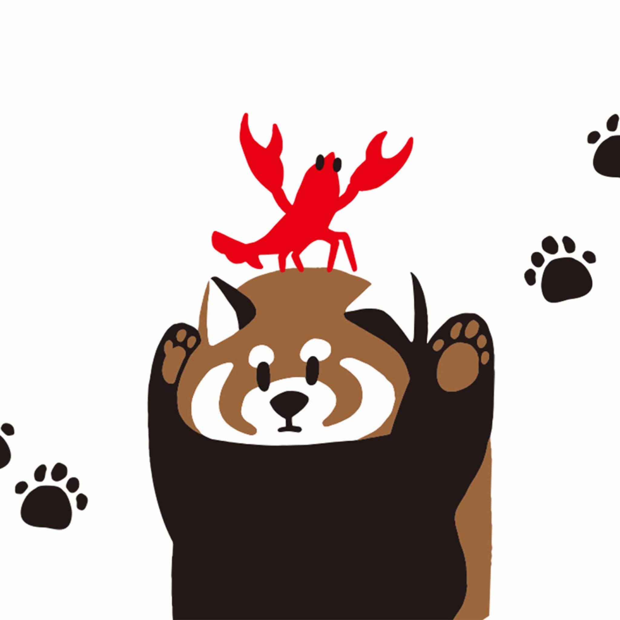イカク🐻🆕/ 威嚇していても、やっぱりかわいいレッサーパンダ。長らく