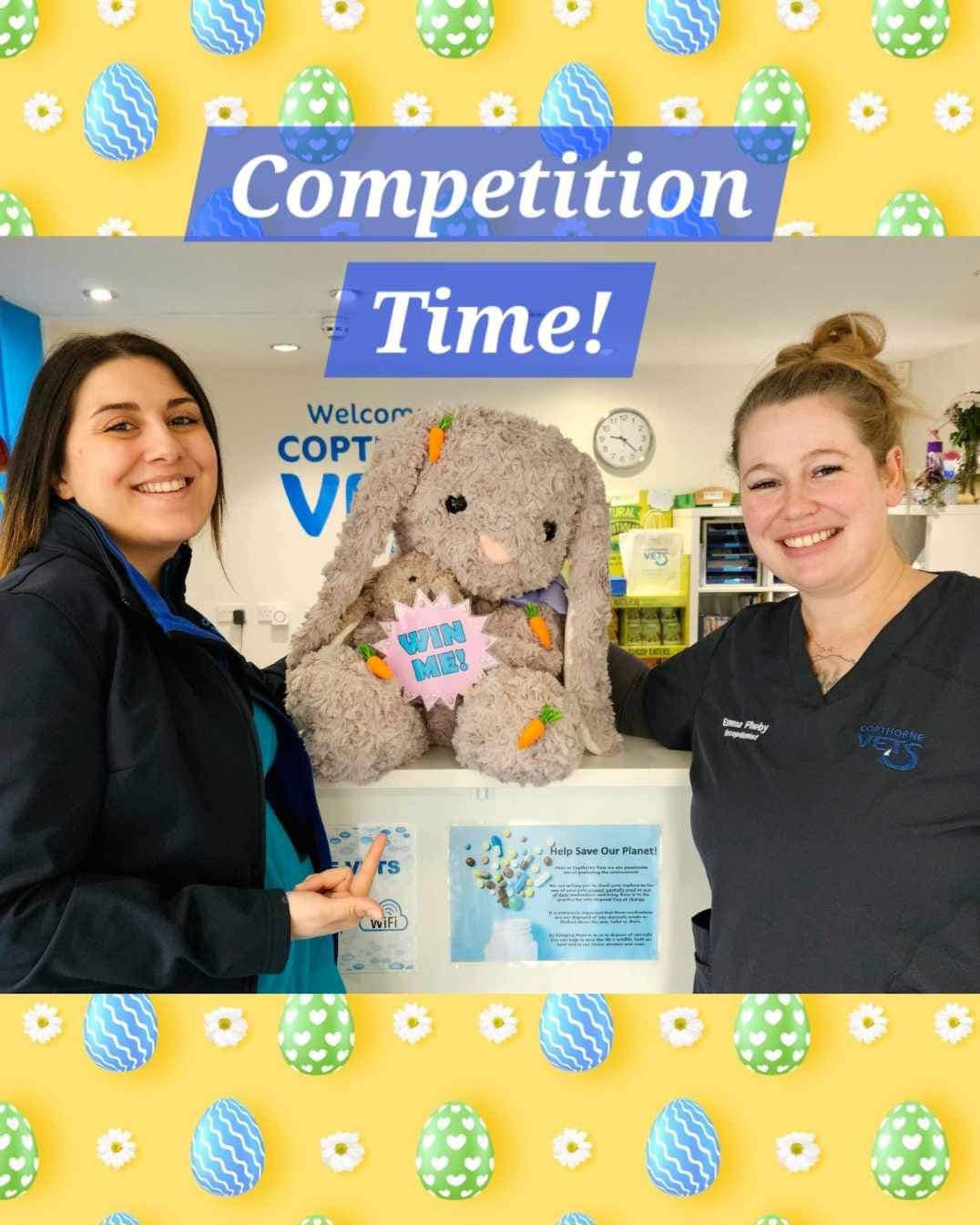 Shrewsbury Rabbit Rescue | Shrewsbury