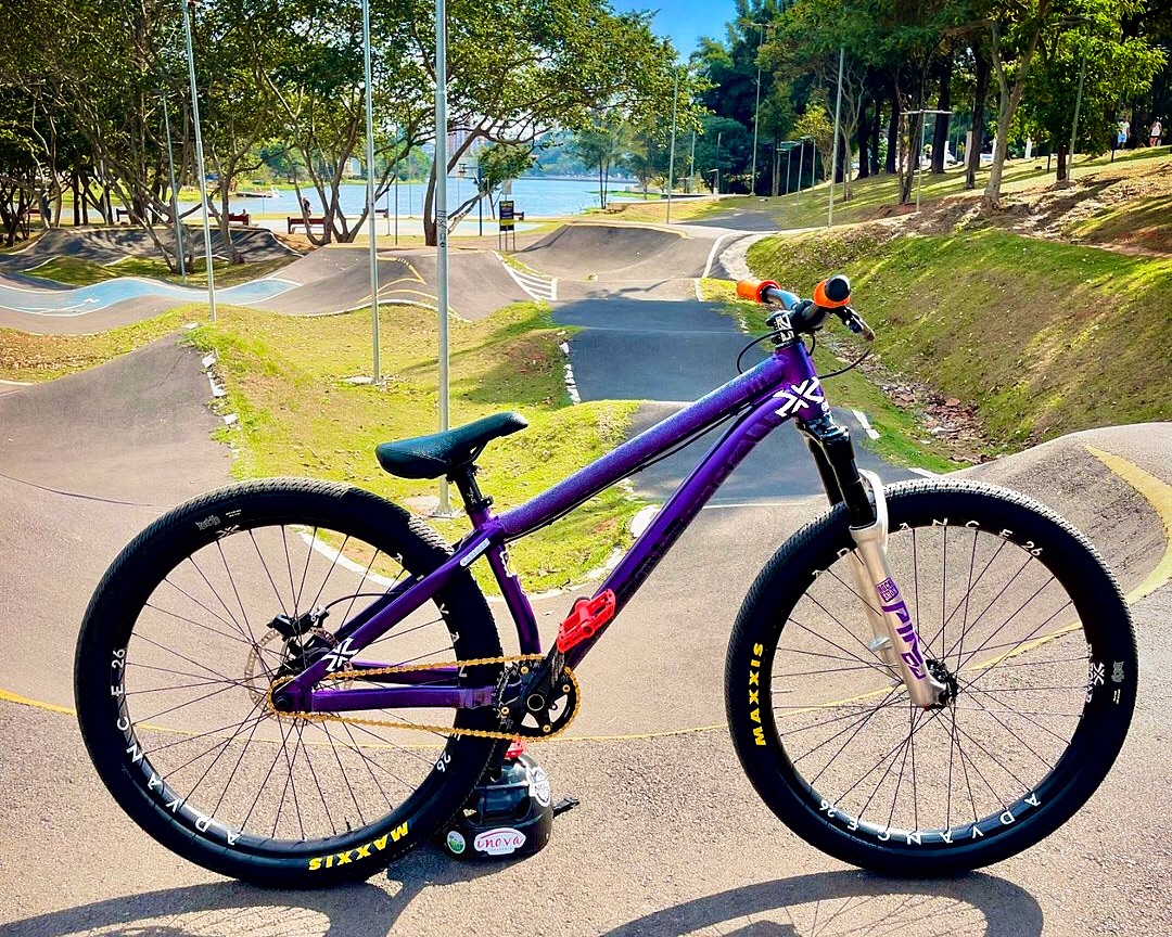 BMX Bike Frame Color: Oil Slick or Purple