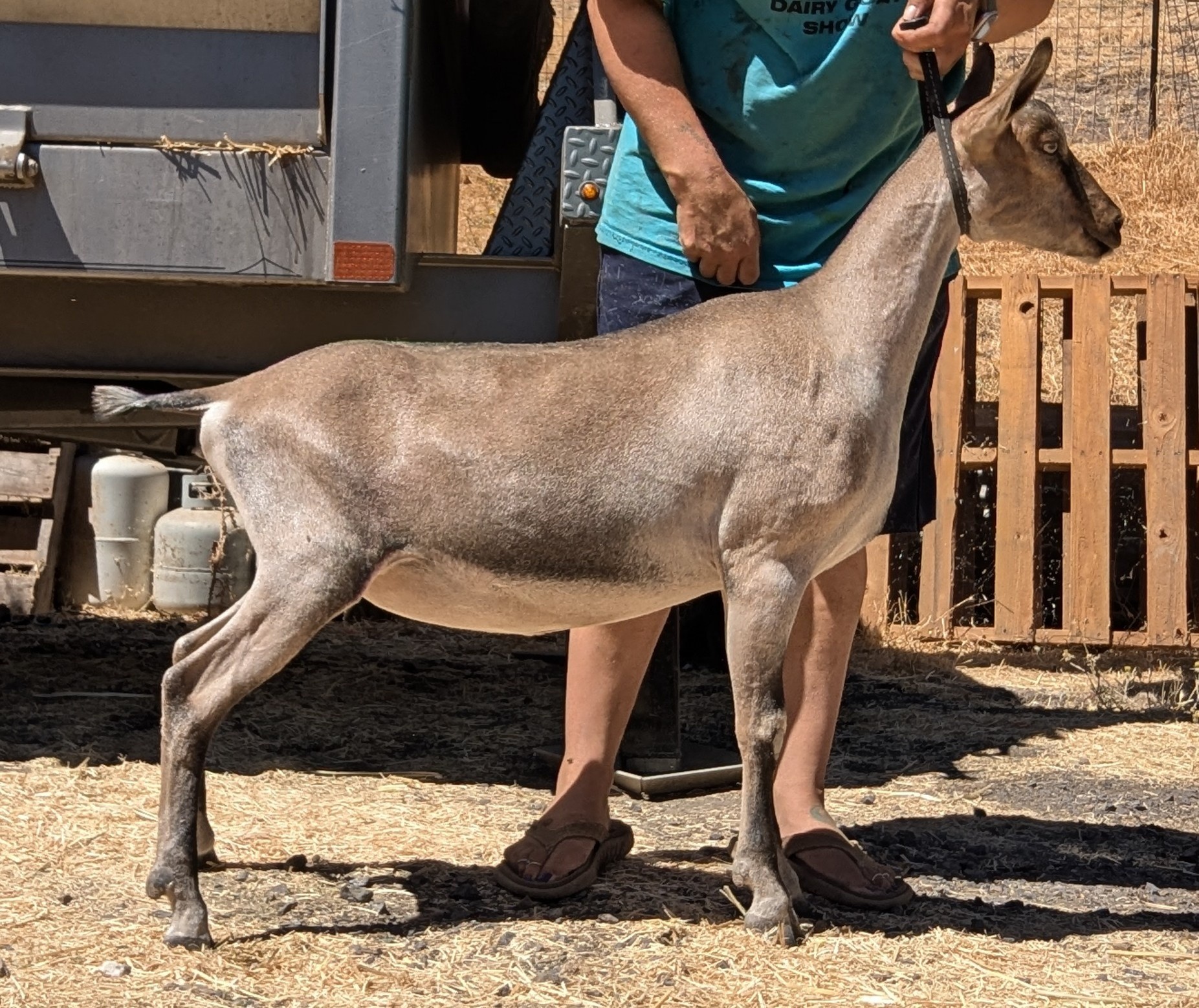 Shining Moon Ranch | Boonville CA