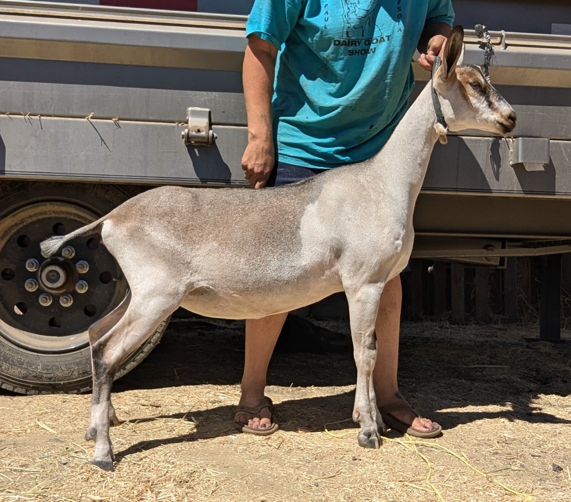 Shining Moon Ranch | Boonville CA