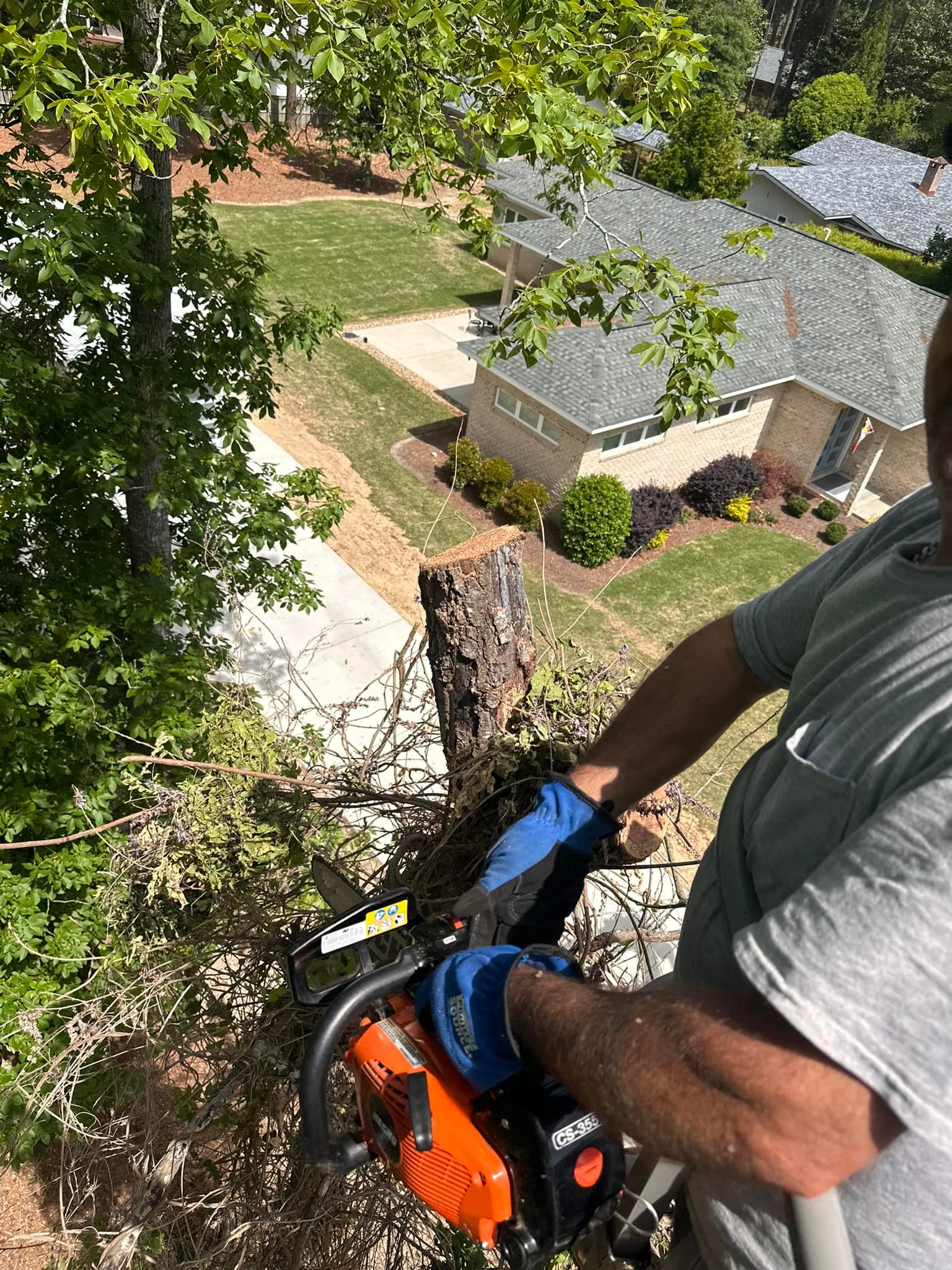 Affordable Tree Service Of Wilson, N.C. | Wilson NC