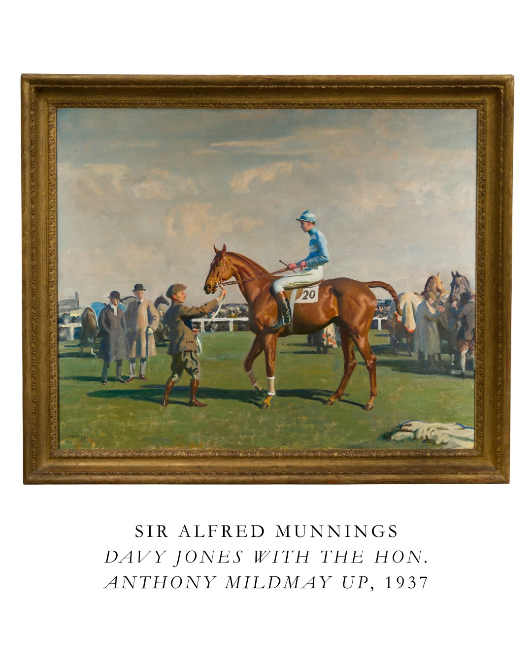 Winsor Birch | Marlborough