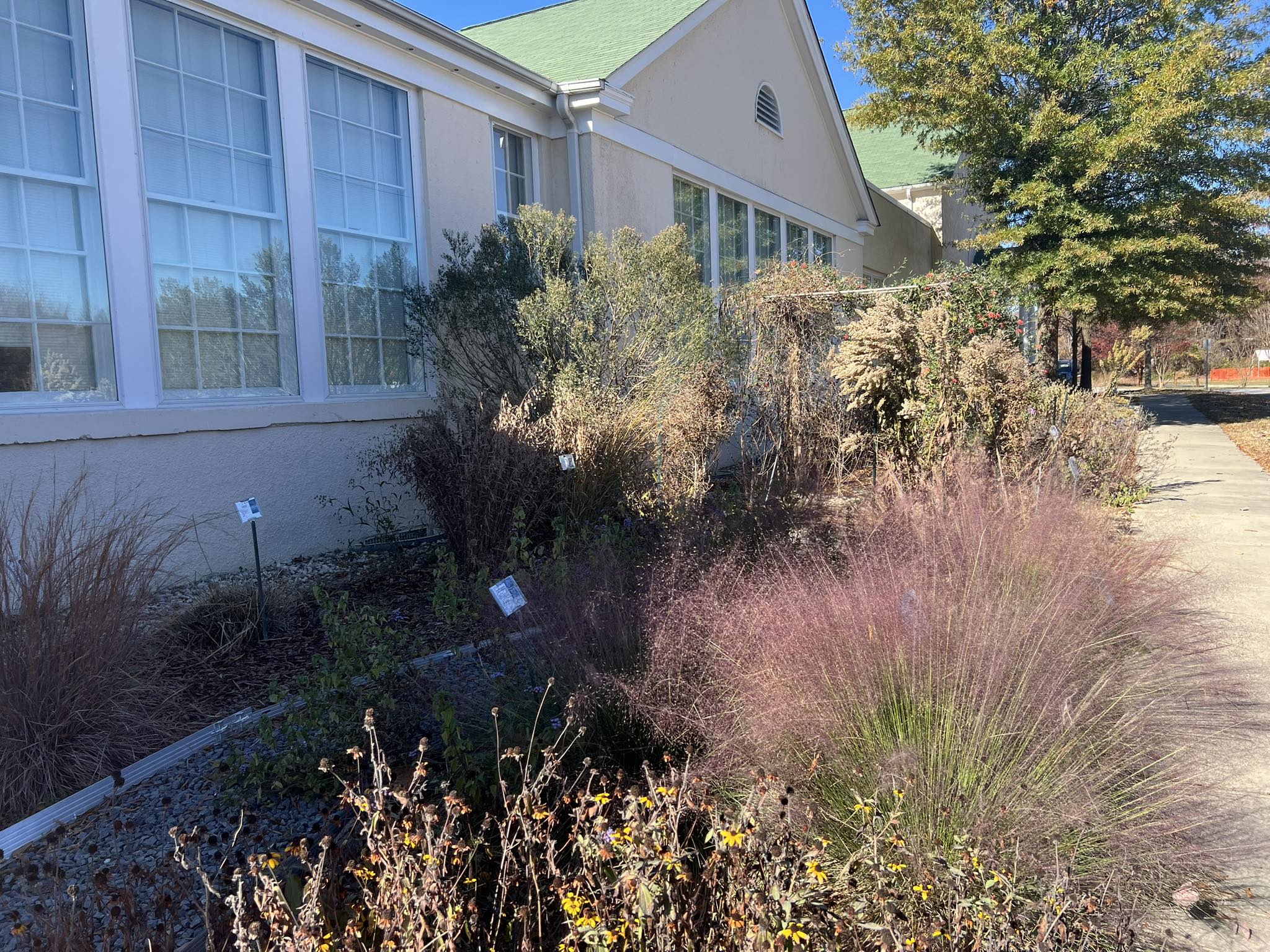 Charles County Master Gardeners, University of Maryland Extension | Bel ...