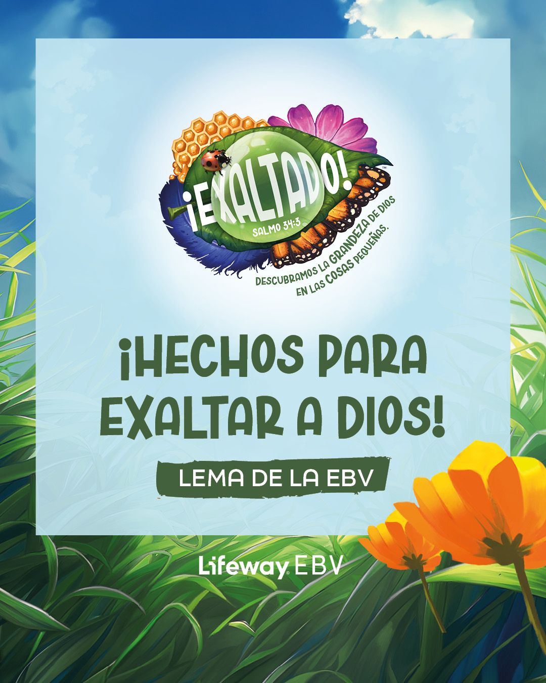 Lifeway - ¡Exaltado! La EBV alentará a los niños a mirar de cerca los ...