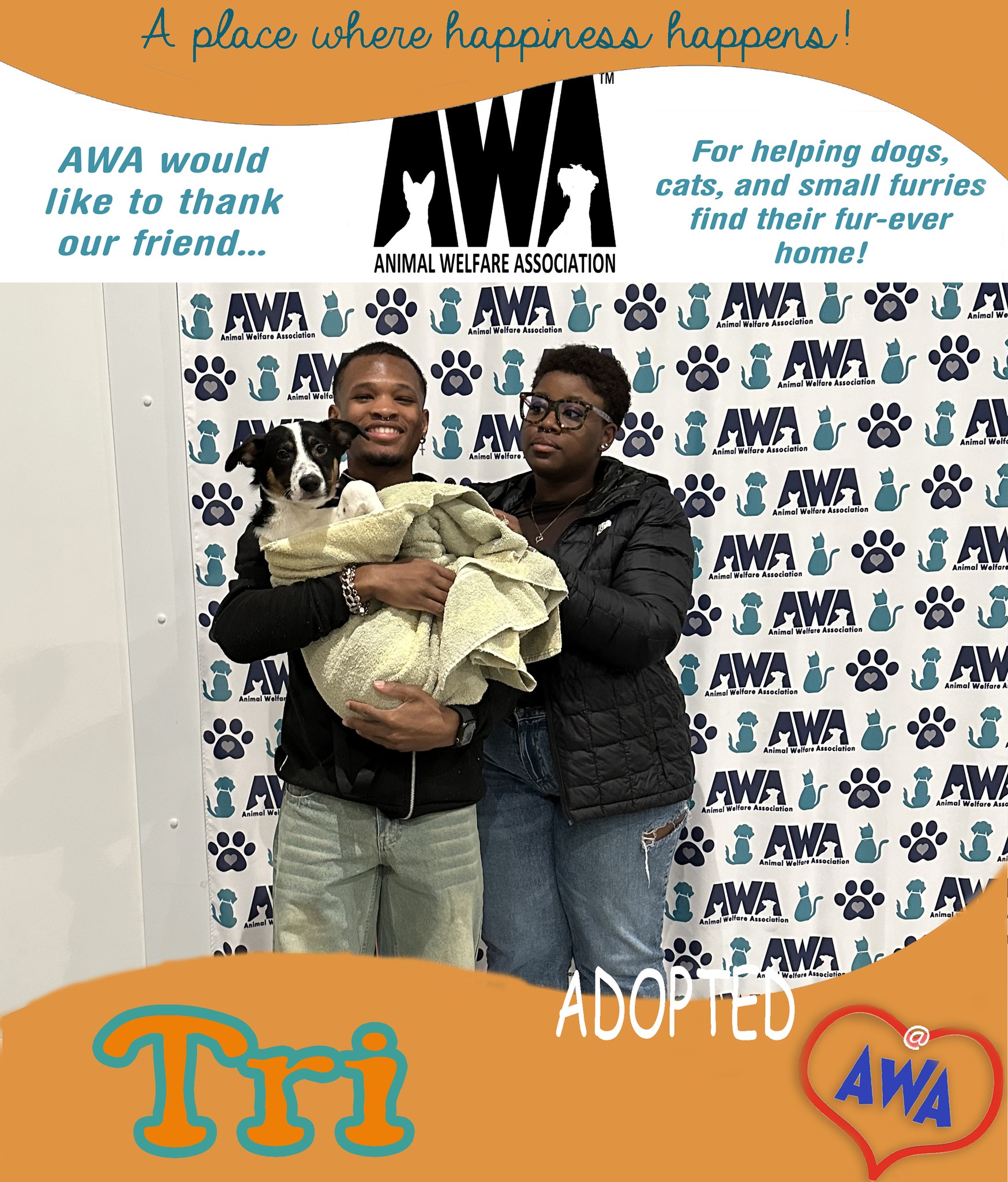 Animal Welfare Association... - Animal Welfare Association