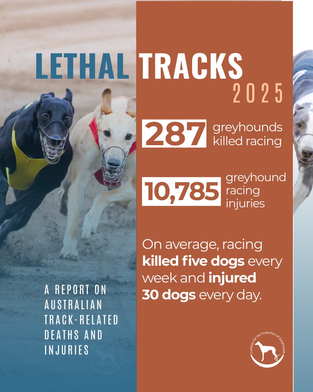 Coalition for the Protection of Greyhounds