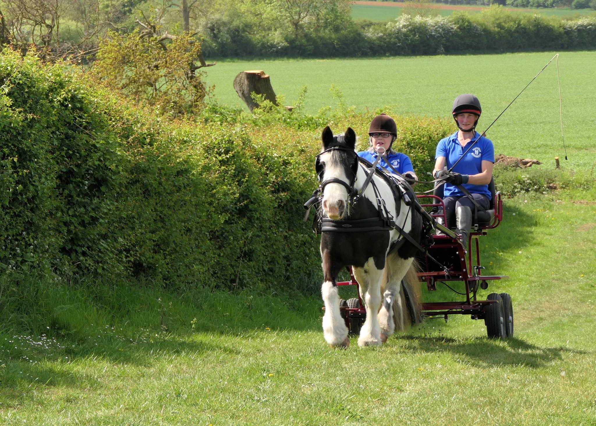 Kesteven Rideability