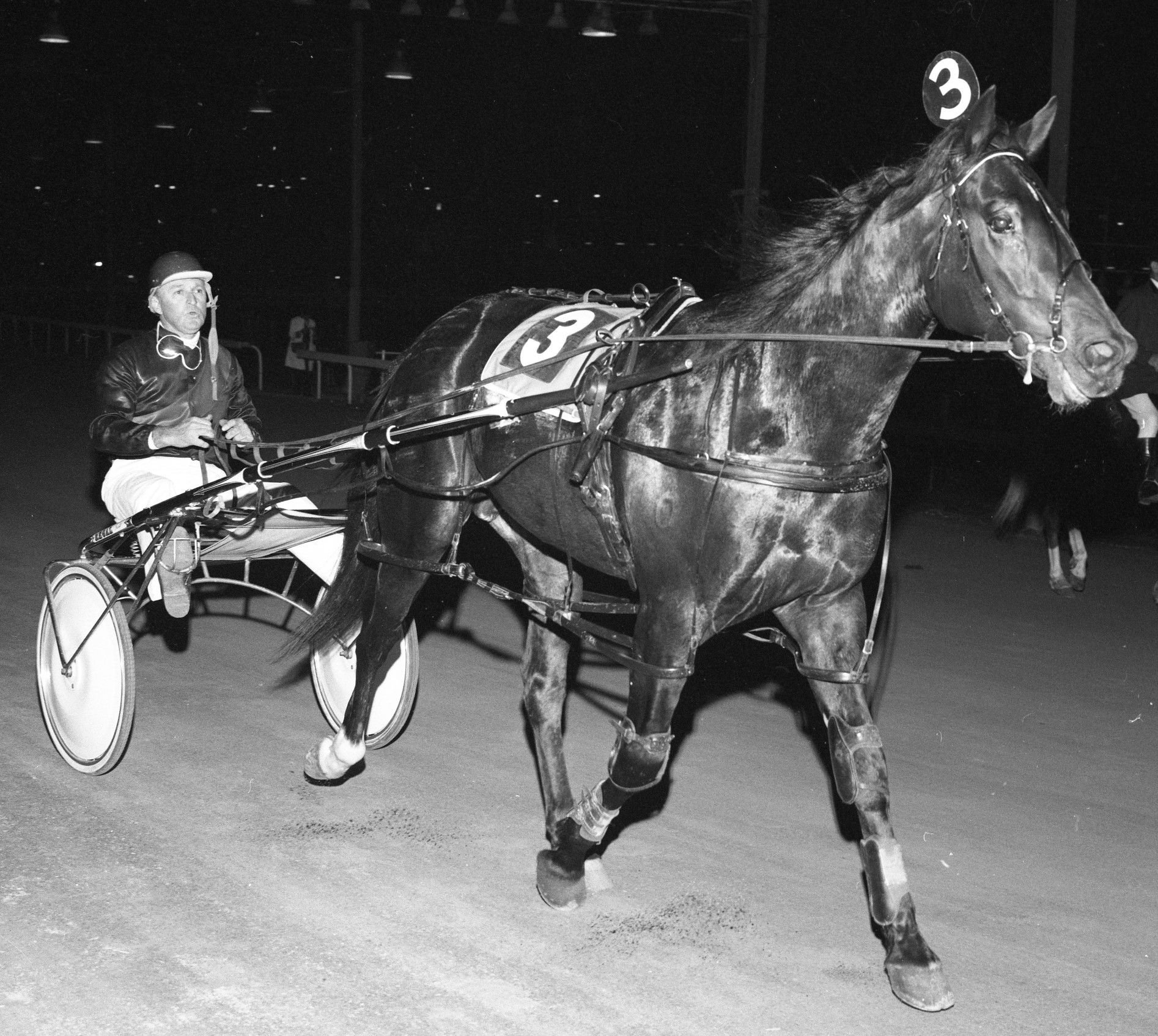 Club Menangle - For today’s Throwback Thursday we look... | Facebook