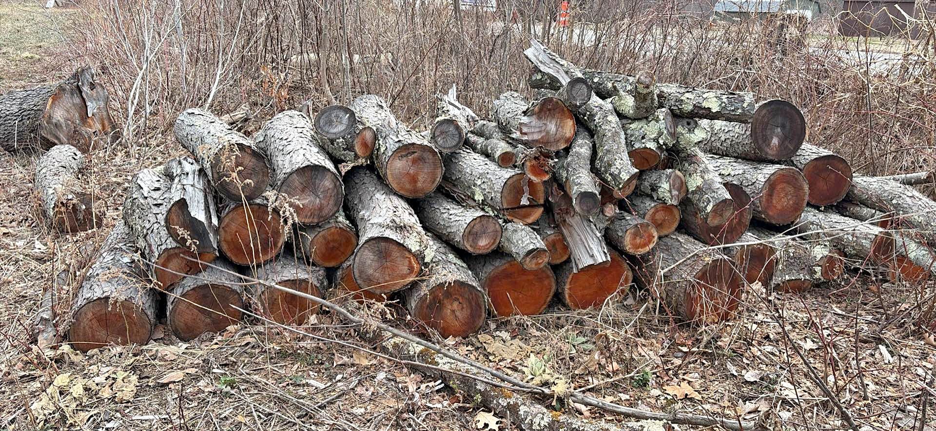Firewood - 2025 Unsplit hardwood. - Miscellaneous - Ballston Spa, New ...