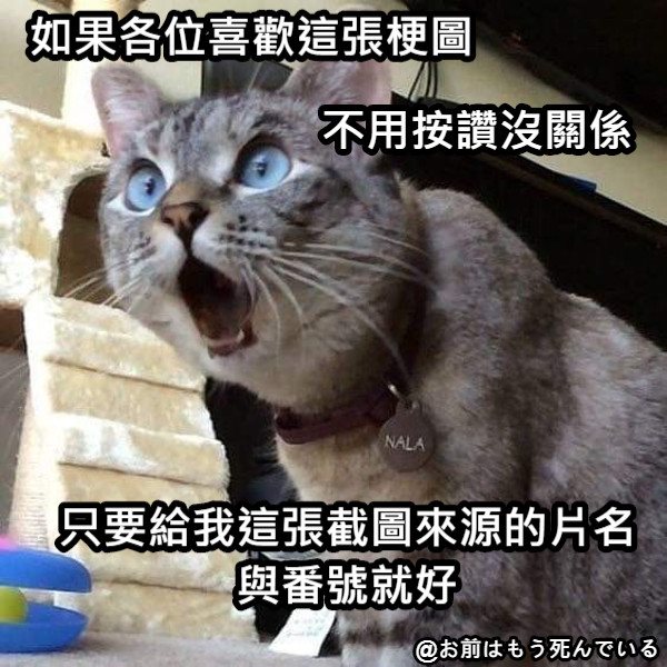 Meme 梗圖倉庫 - 不用按讚沒關係 只要給我這張截圖來源的片名與番號就好 如果各位喜歡這張梗圖 #梗圖 #meme #梗圖倉庫 #網友投稿 ...