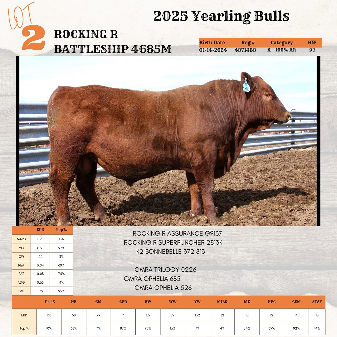 Rocking R Ranch: Red Angus and Beef | Bayard NE