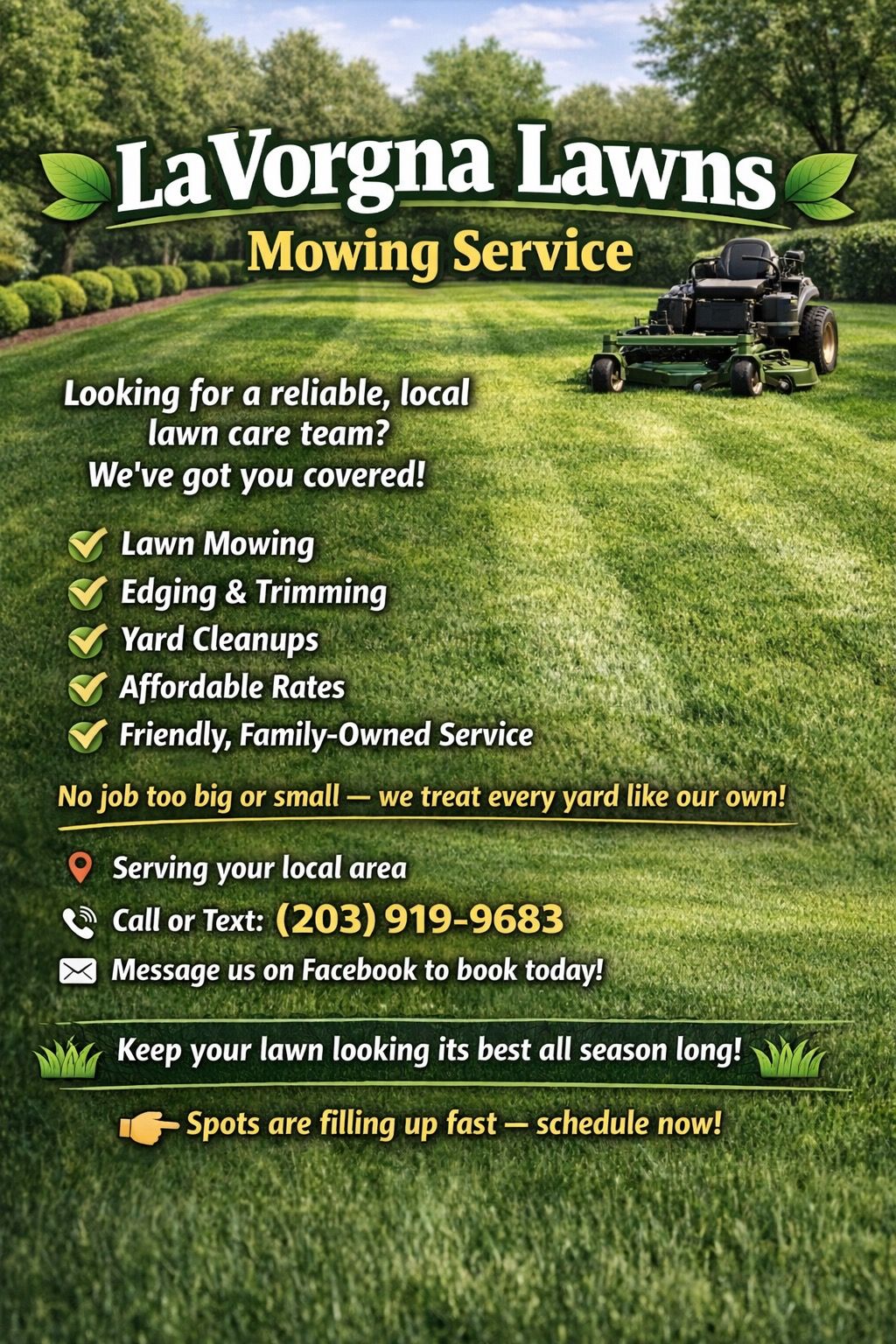 Healthy Lawn Full Website (Copy, 234 selected)