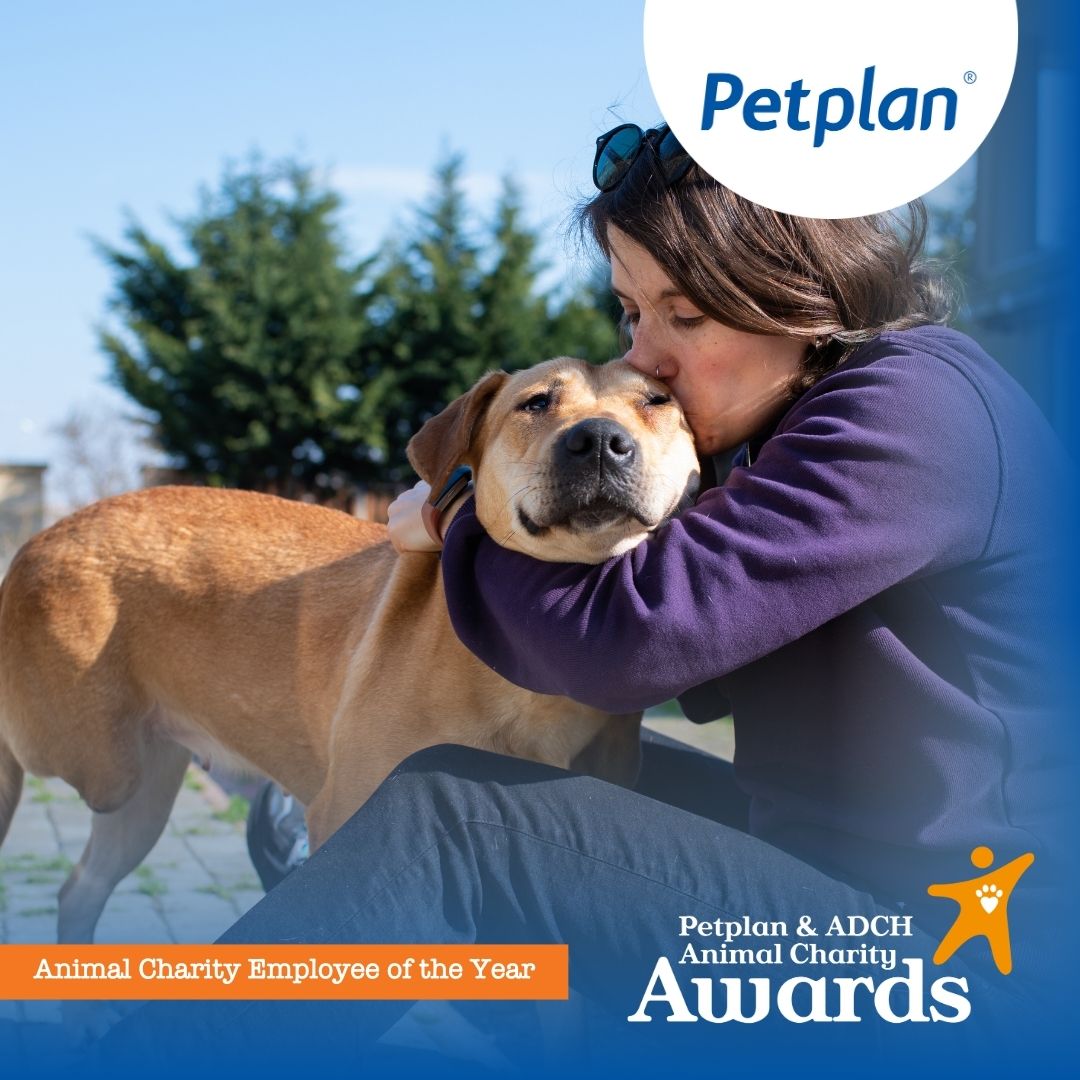 Petplan UK - When you re-homed your pet was there someone... | Facebook