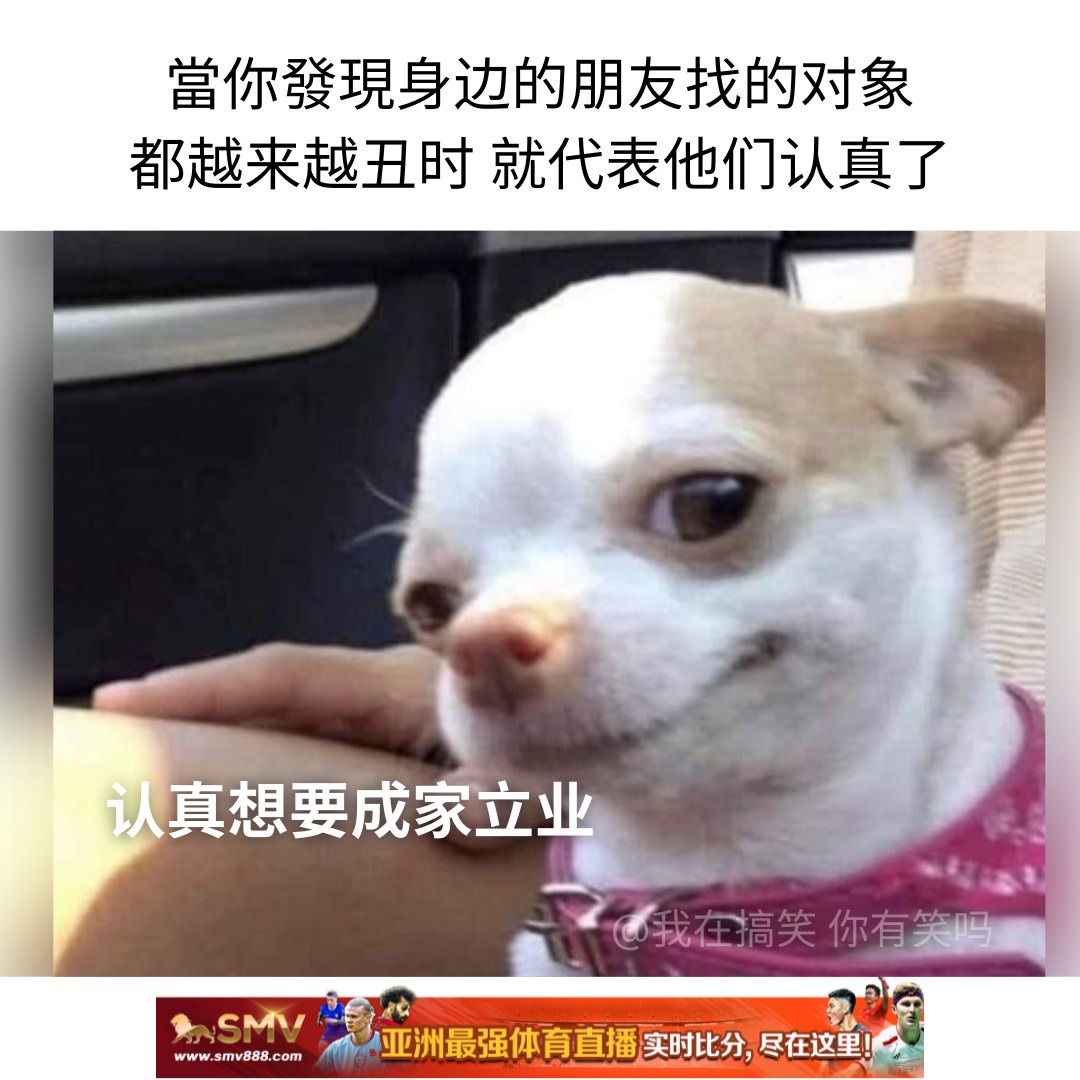 我在搞笑 你有笑吗？ - 开始怕了 . IG: imbeingfunny.official . . #梗 #梗圖... | Facebook