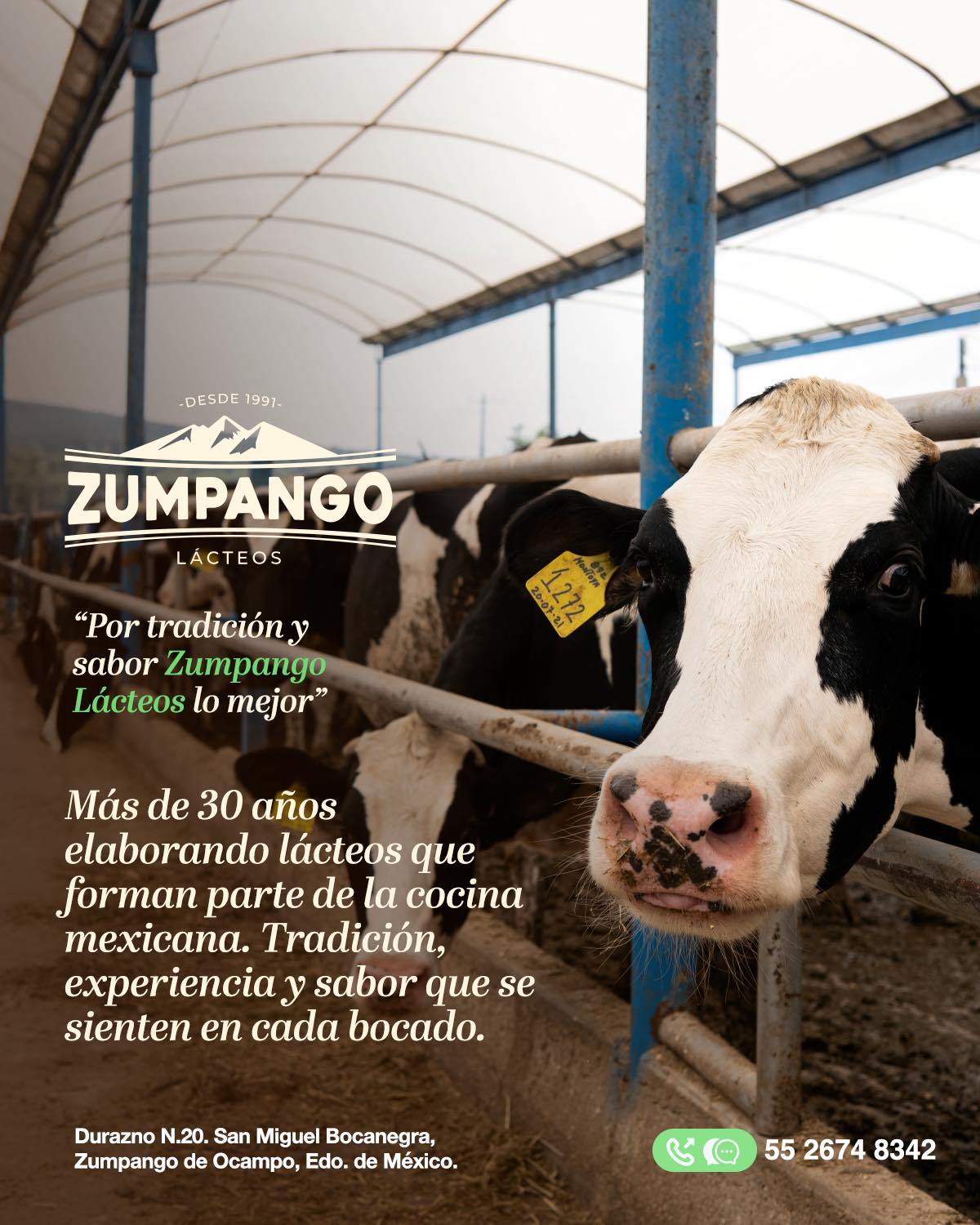 Zumpango - 🌄🐄 Sabor que viene del tiempo 🧀🌾 Más de 30 años ⏳ cuidando ...