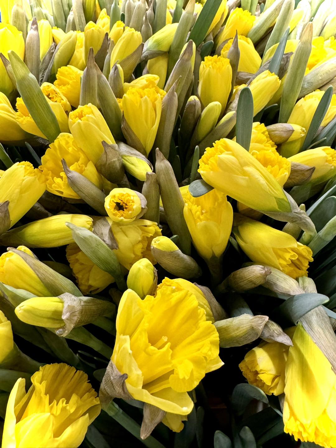 Flowers&Friends