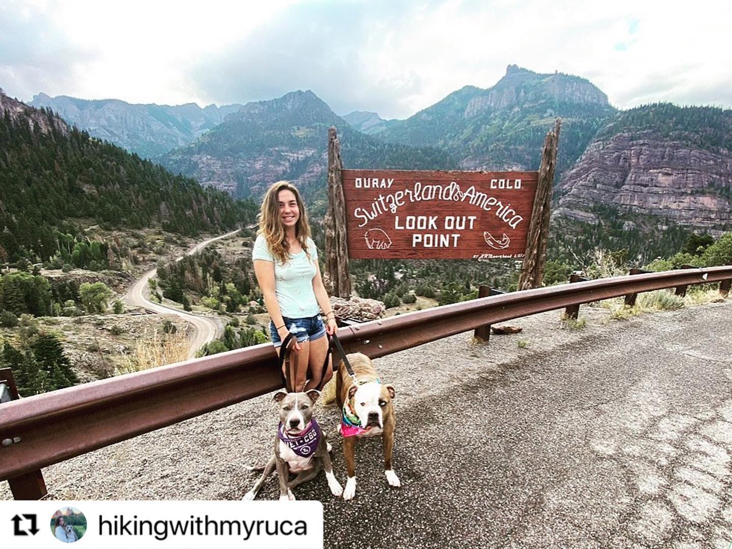 Visit - The infamous sign and lookout living up to its hype! : Awesome ...
