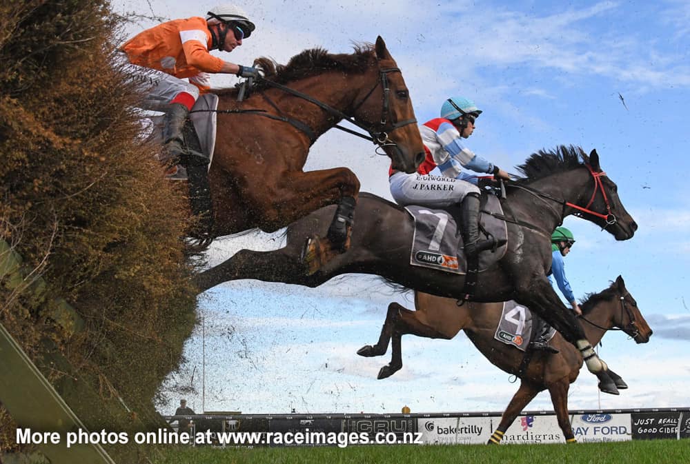 Race Images NZ