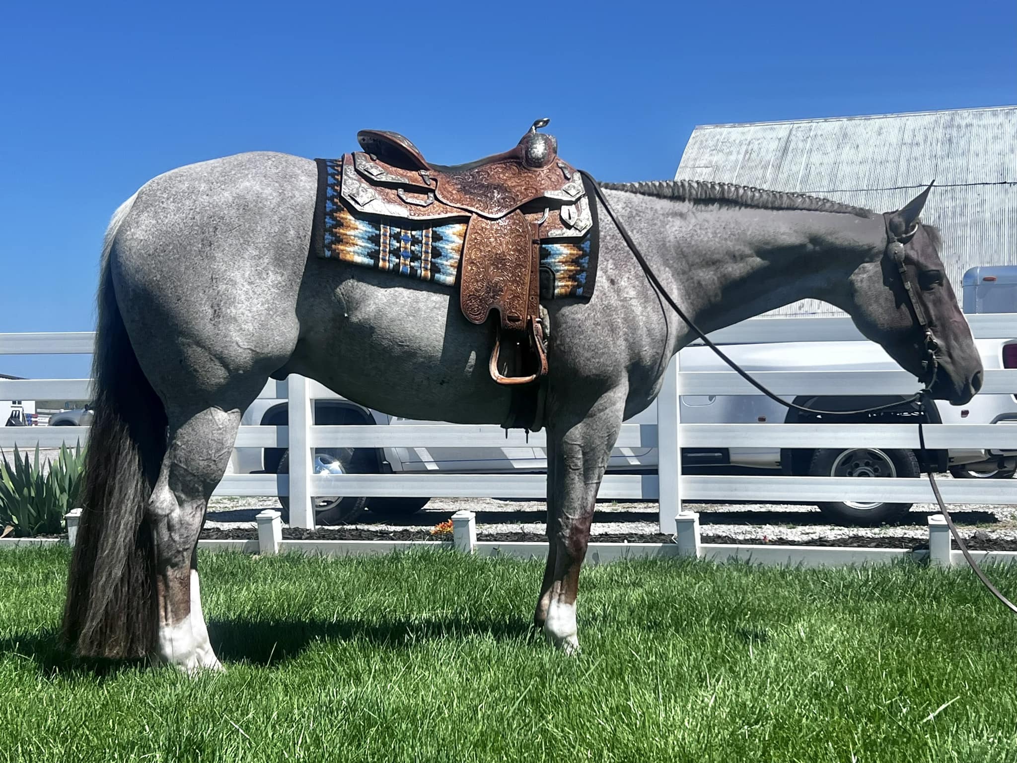 🎊🎊Congratulations to:... - Mark Harrell Equine Marketing