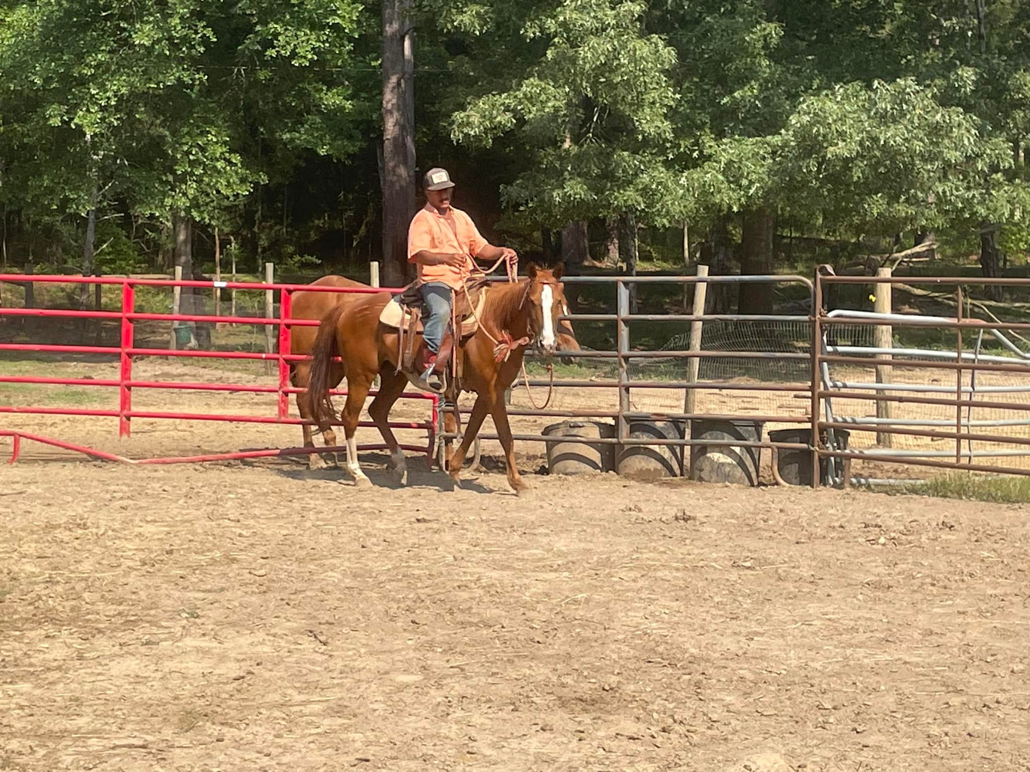 JX Ranch, LLC | Utica MS