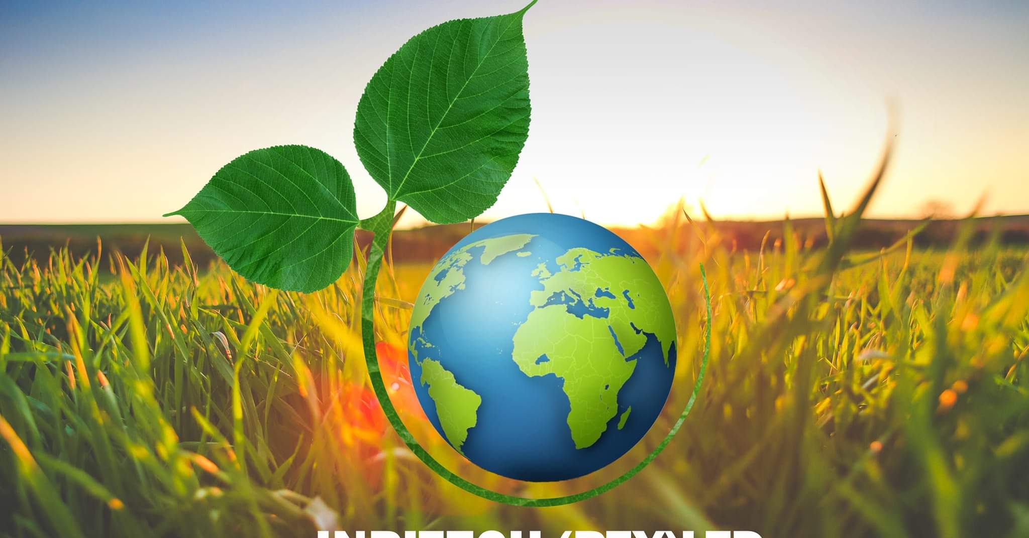 Oil - Oil castor is a subsidiary of Inpitech Bio Agri Tech .The ...