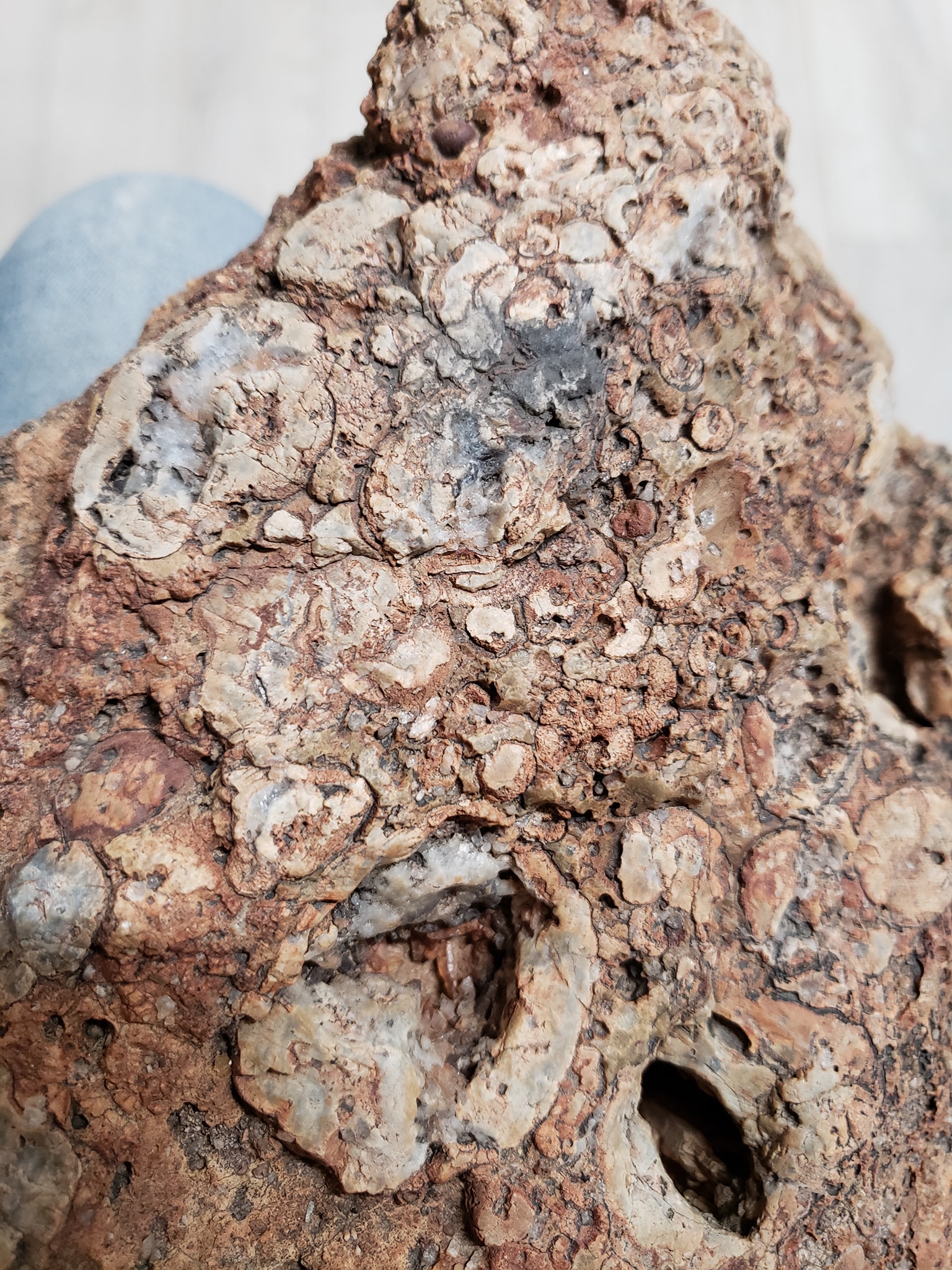 What is the type of rock found near Phoenix Arizona?