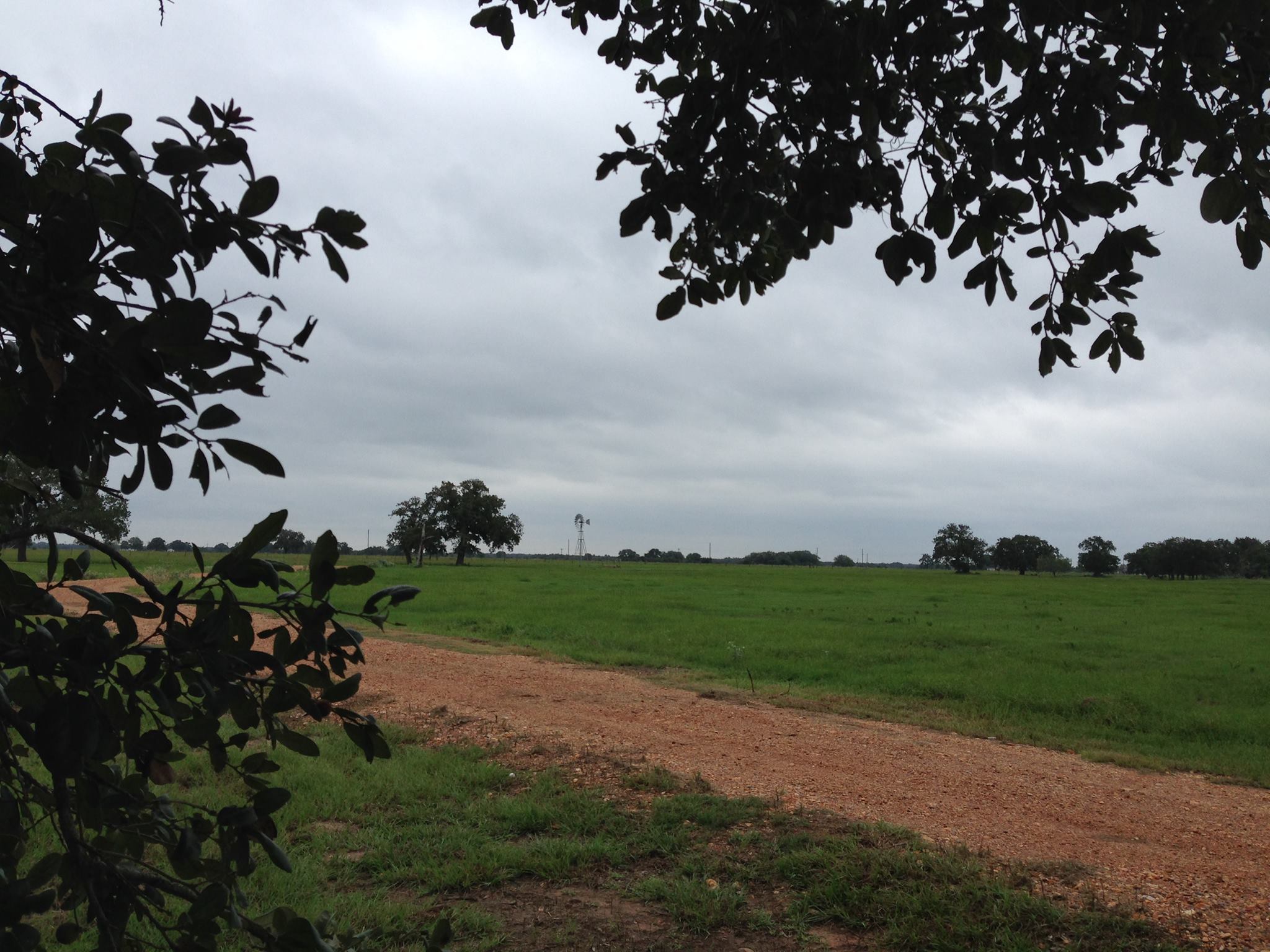 Carter Ranch 682 | Yoakum TX