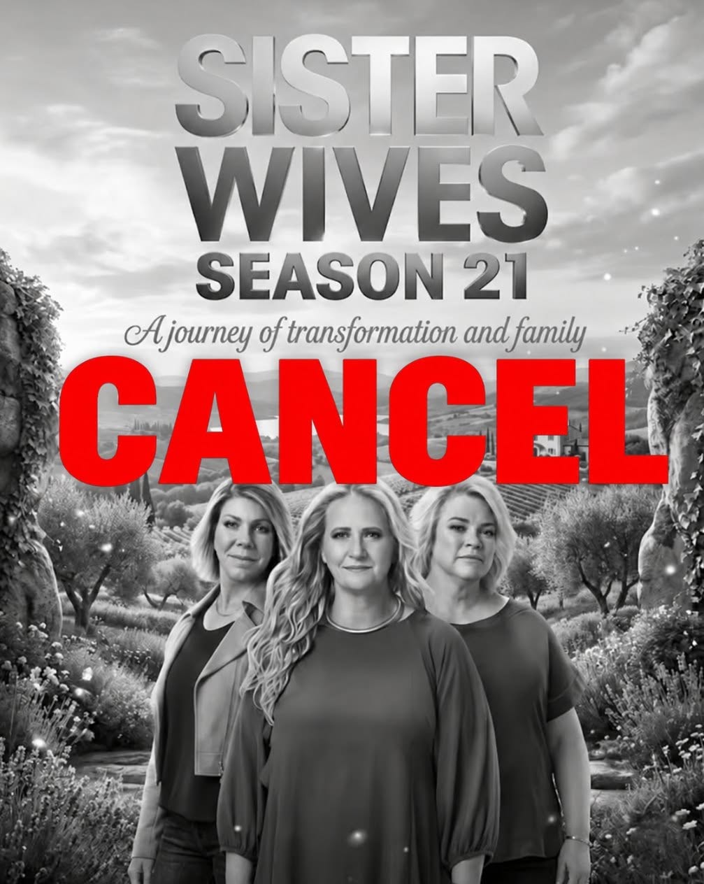 Sister Wives: TLC confirms cancellation of Season 21 for a