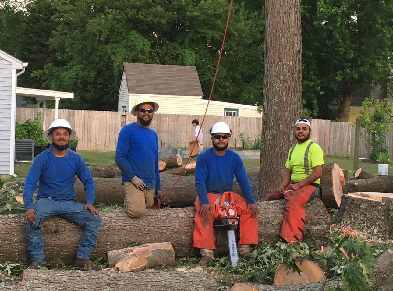 Amg Lawn & Tree Services