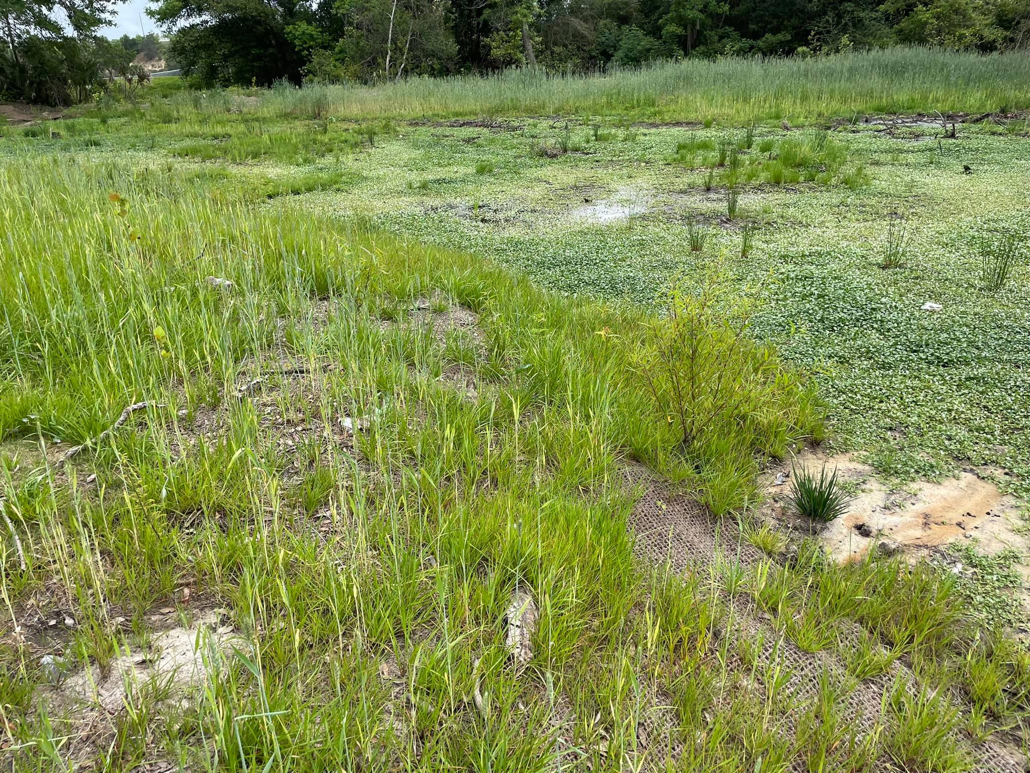 Streamline Environmental LLC. | Magnolia Springs AL