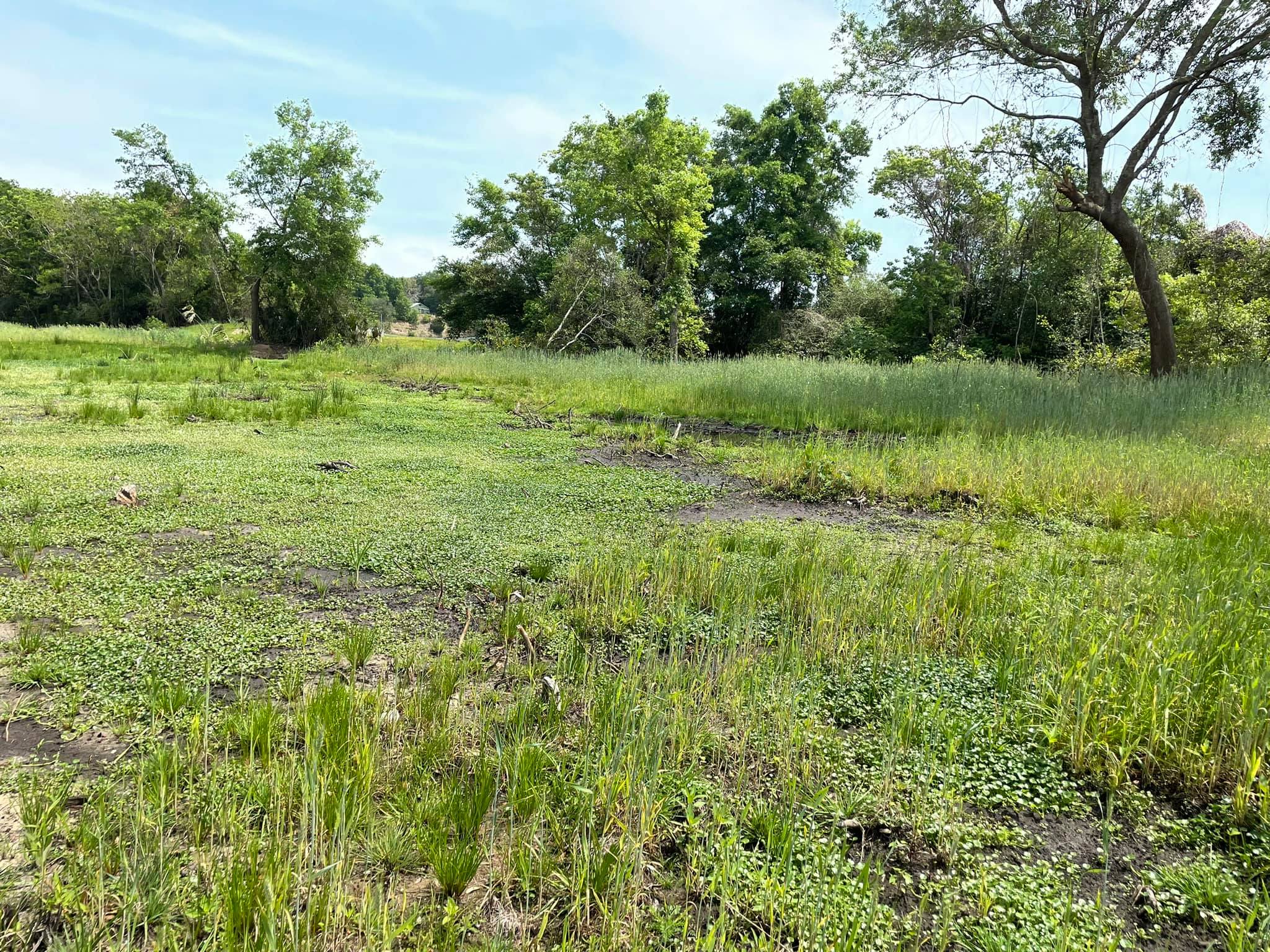 Streamline Environmental LLC. | Magnolia Springs AL