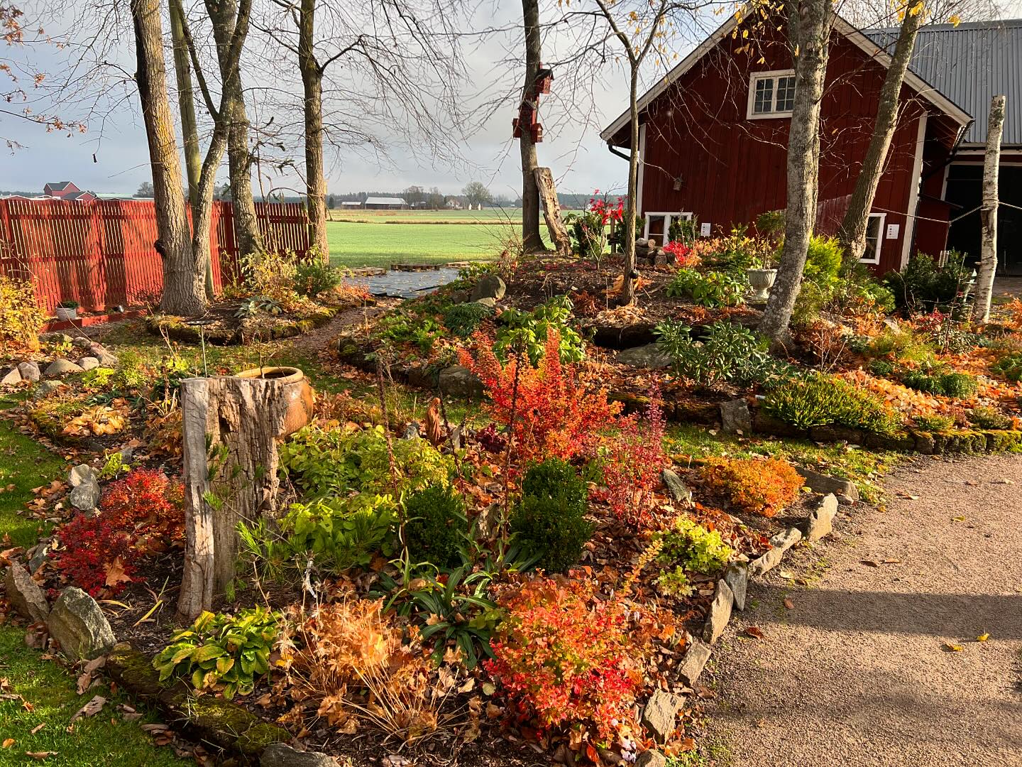 SinnligTrädgård | Skövde
