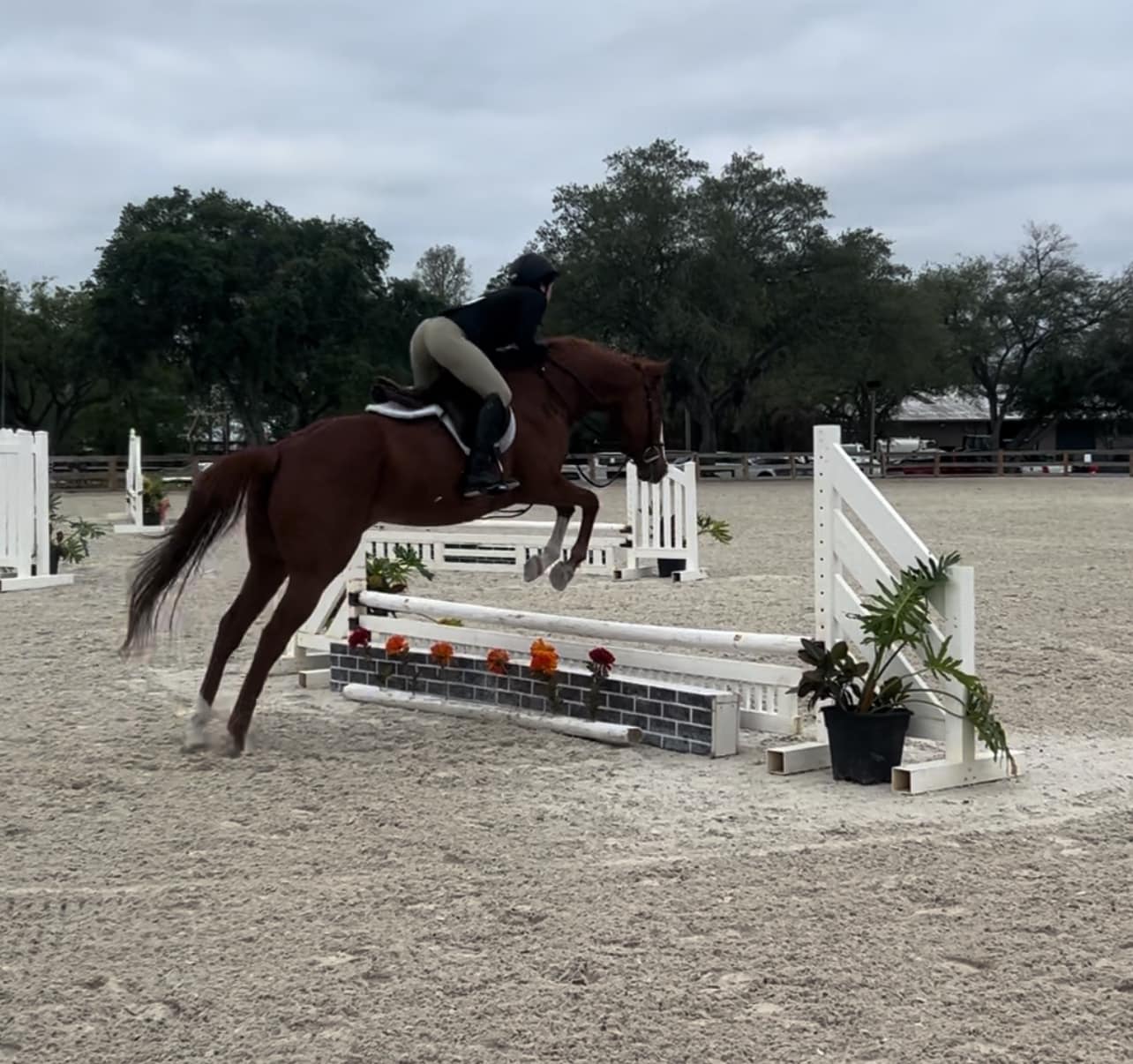 Crosspoint Farm | Riverview FL