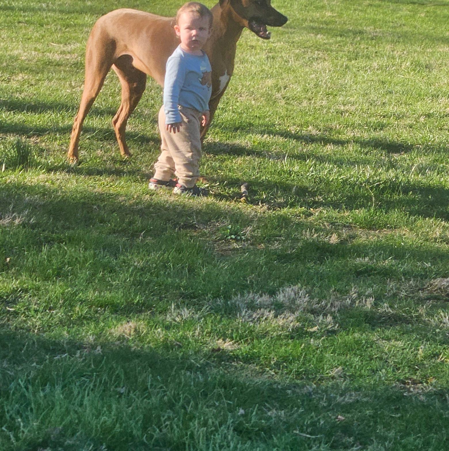 FS25 Console only | There is a option to have the controls in the top ...