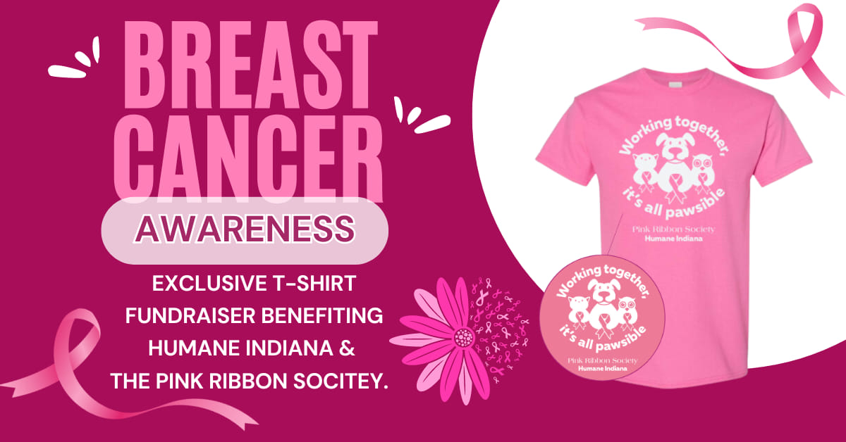 Breast Cancer Awareness T-Shirt – Pink Ribbon Inspirational Top For Women, Soft & Supportive