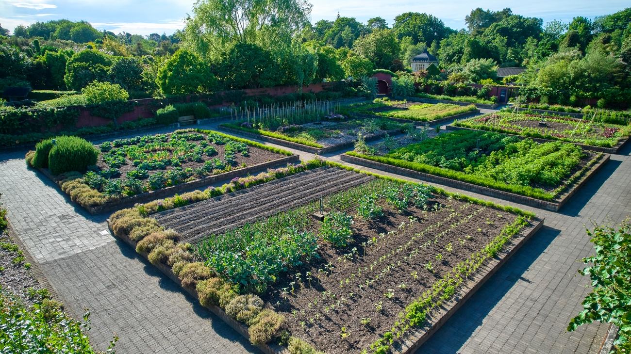 Simpson Garden Park: The perfect walking spot! 🚶🌸 #HiddenGem