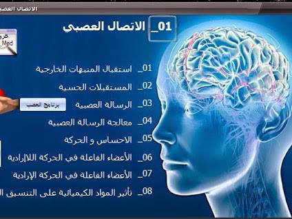 علوم طبيعية للسنة الرابعة متوسط راجع معي تحضيرا للفرض الثاني اسئلة واجوبة مباشرة خاصة بالمجال الثاني التنسيق الوظيفي في العضوية الوحدة الاولى منه الاتصال العصبي 1 ماذا نعني