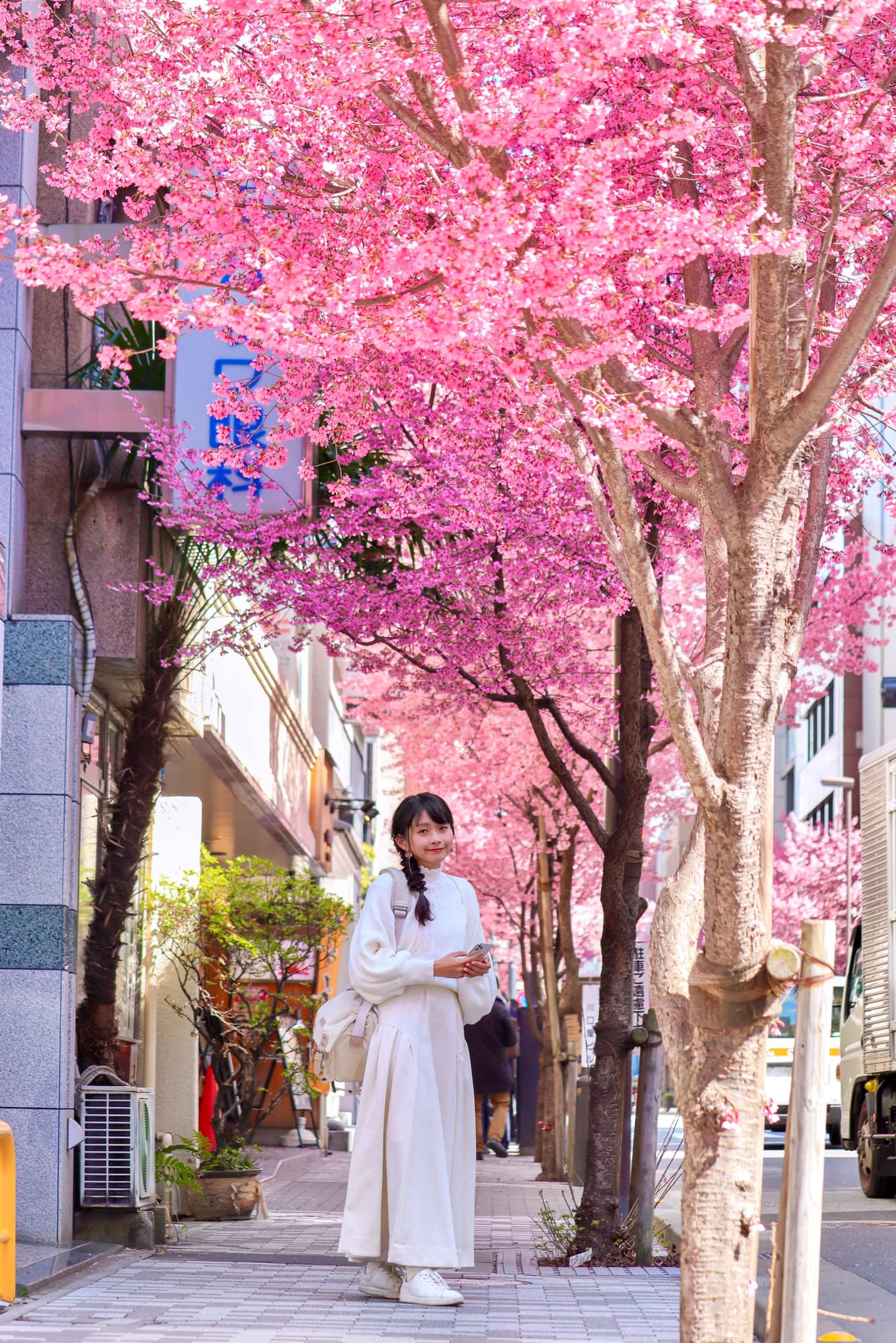 Yunique 瓶顆旅居日本中 午安🩷東京的阿龜櫻仍然盛開中喔🥰日本橋三越前附近滿長的一條道路，可以邊感受日本生活...